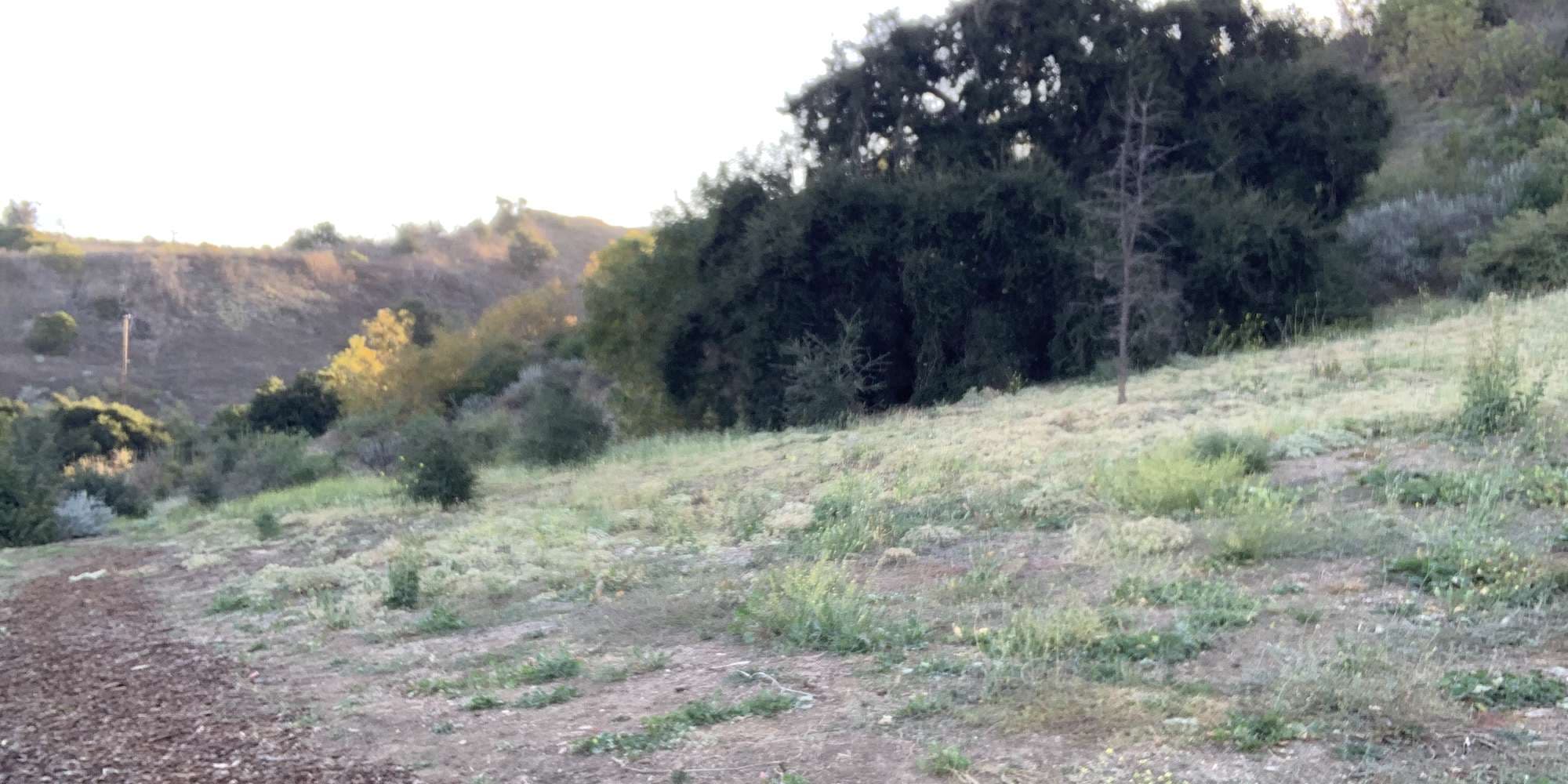 First image to compare