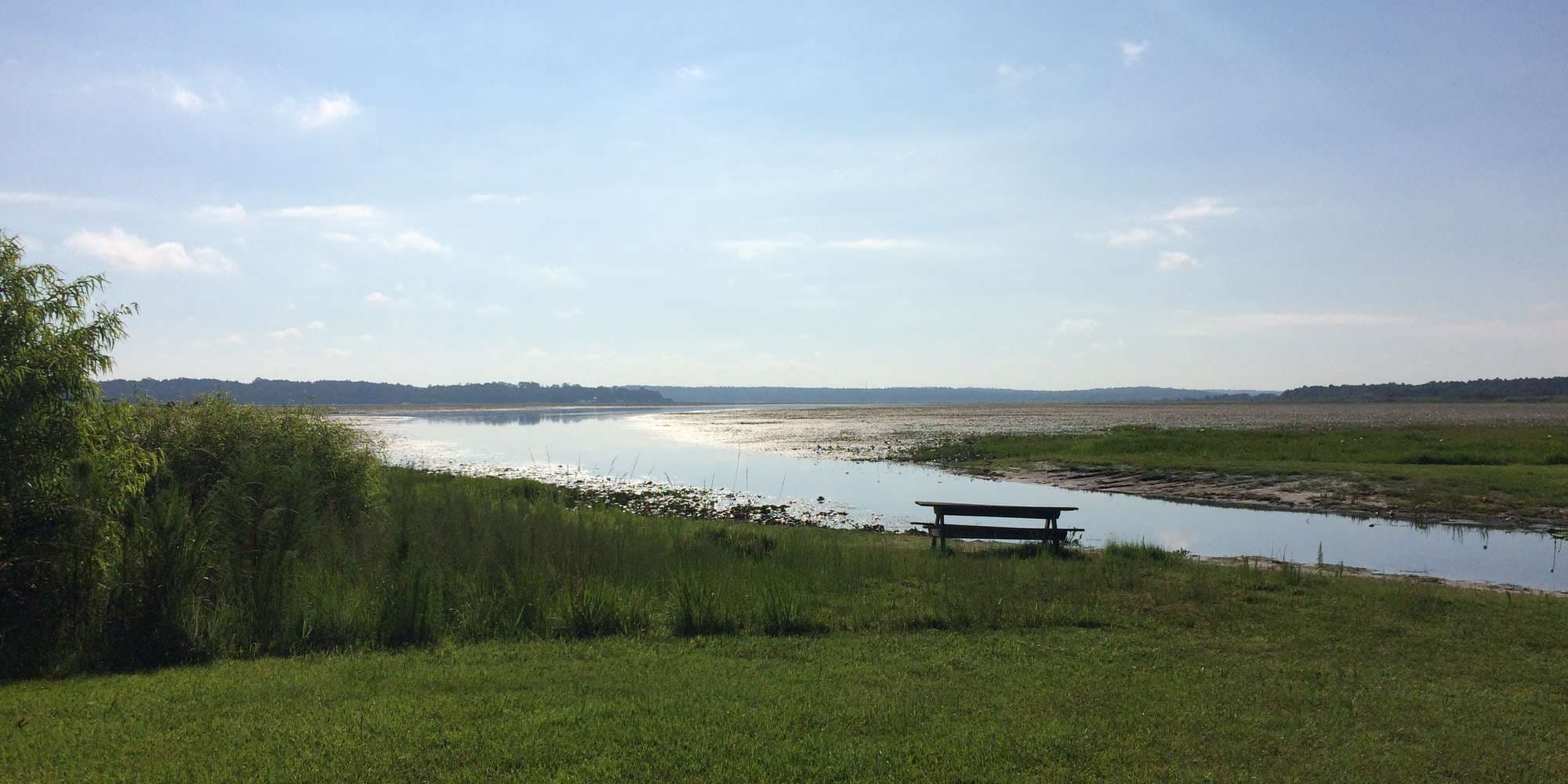 First image to compare