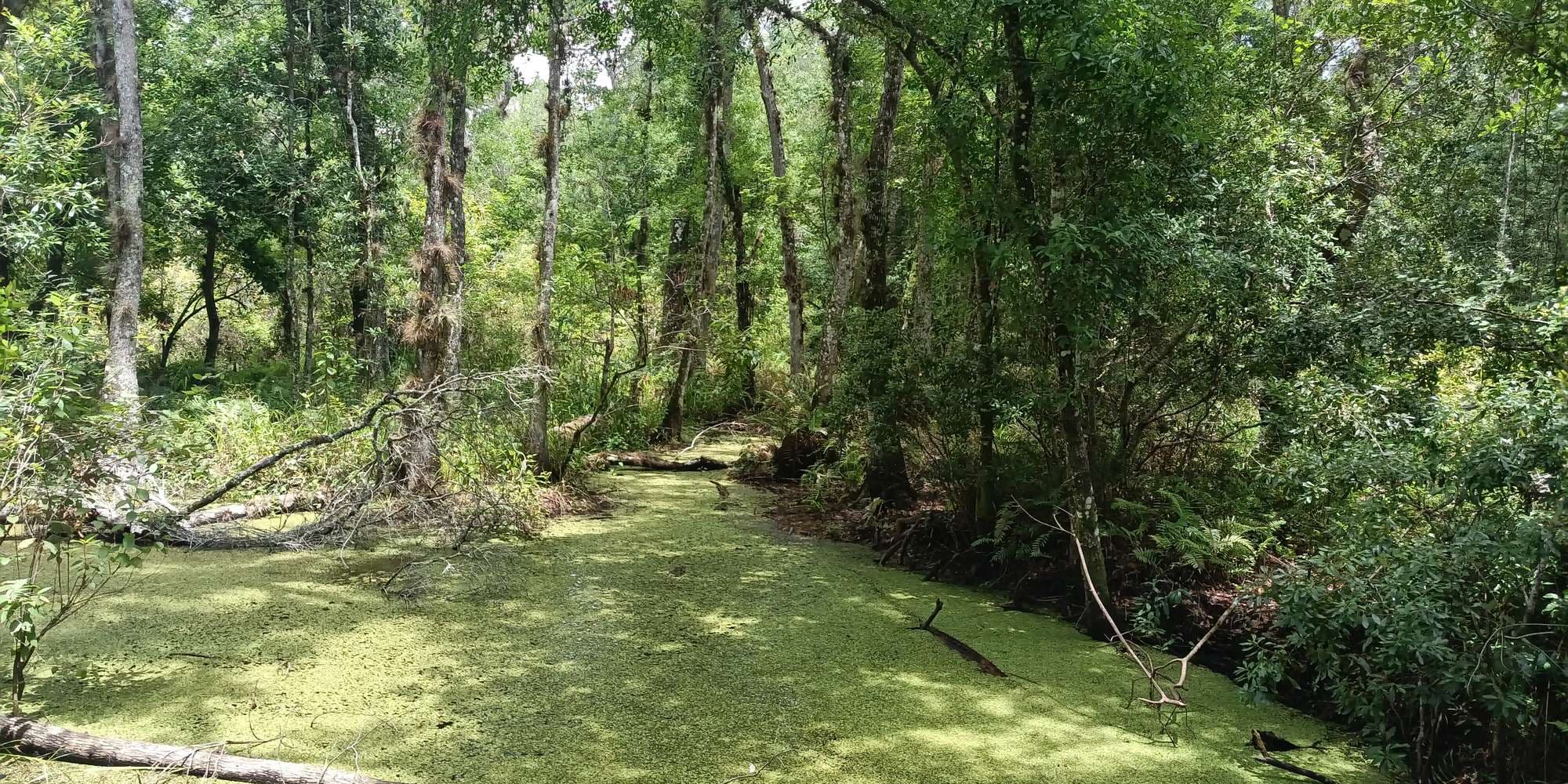 First image to compare