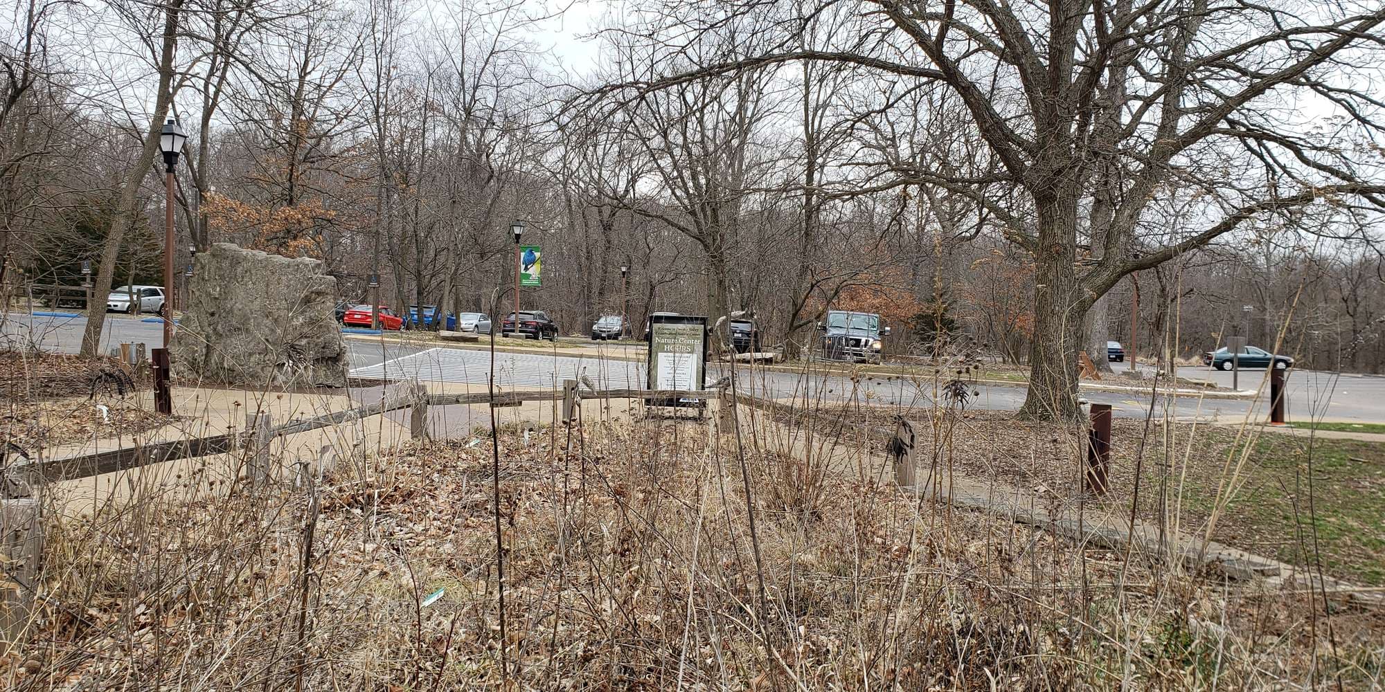 First image to compare