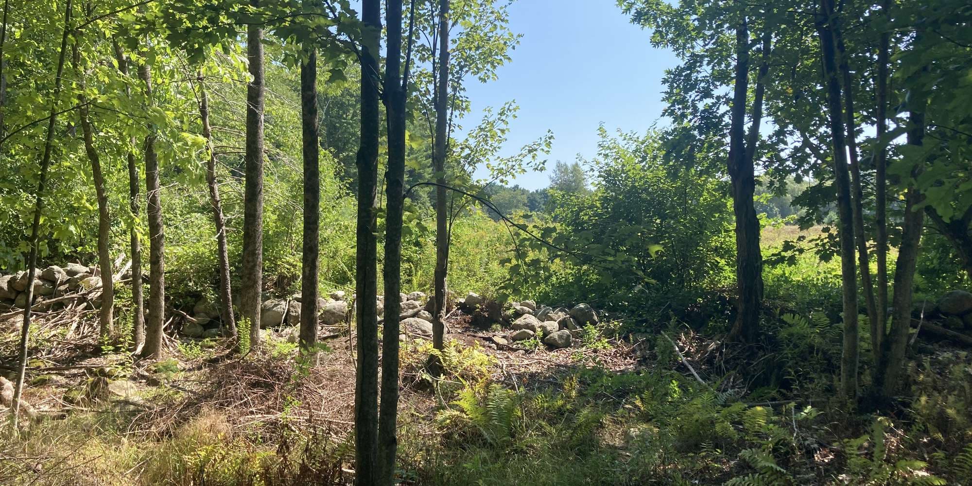 First image to compare