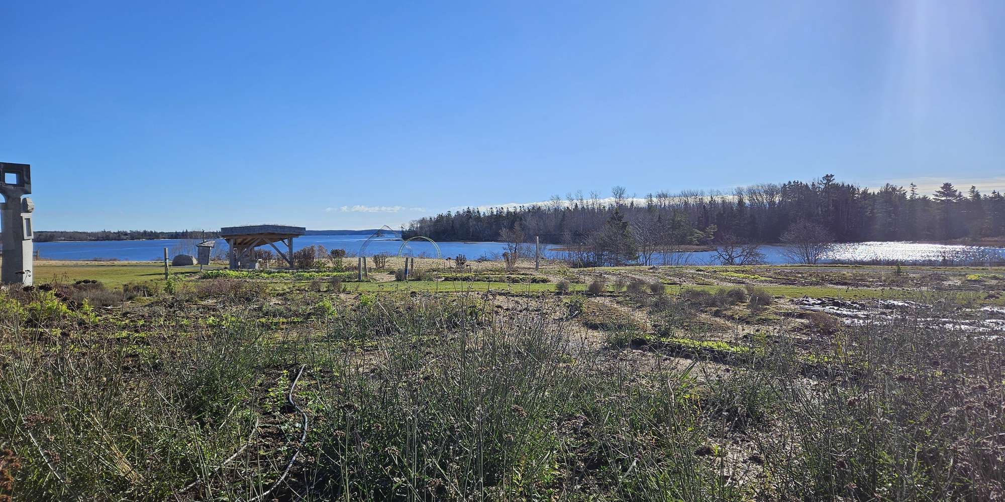 Second image to compare