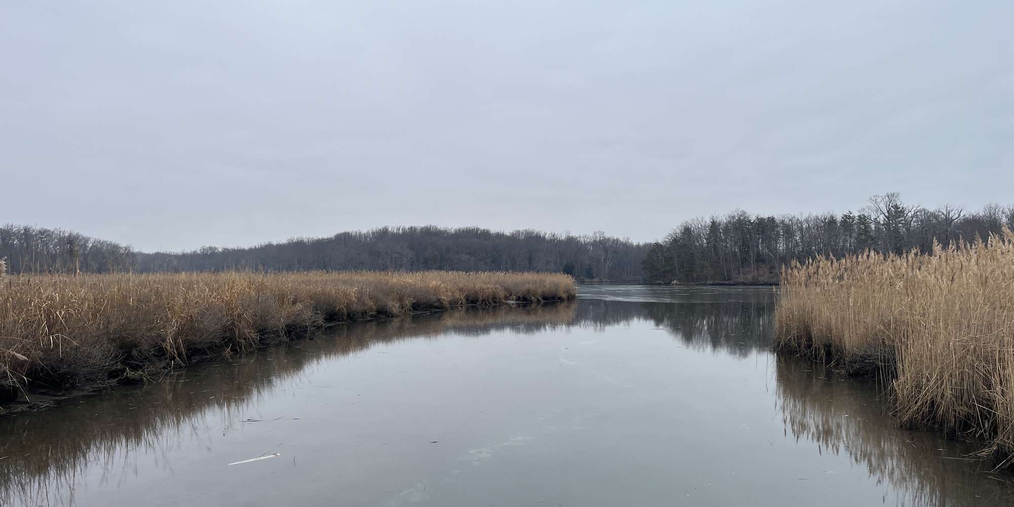 Second image to compare