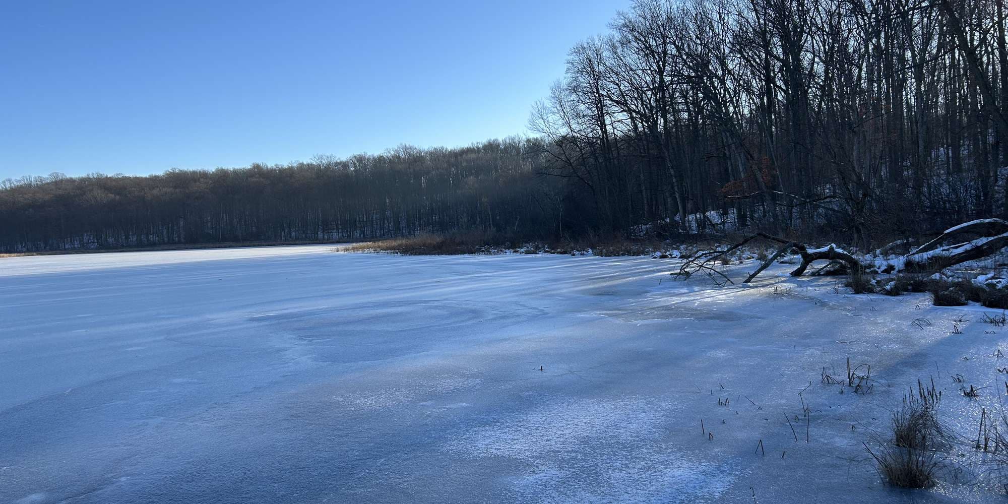 Second image to compare