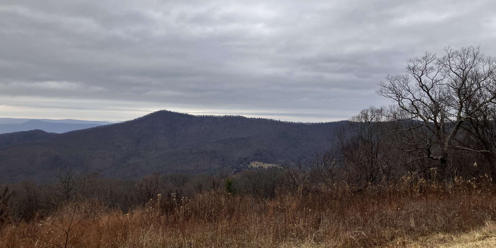 Second image to compare