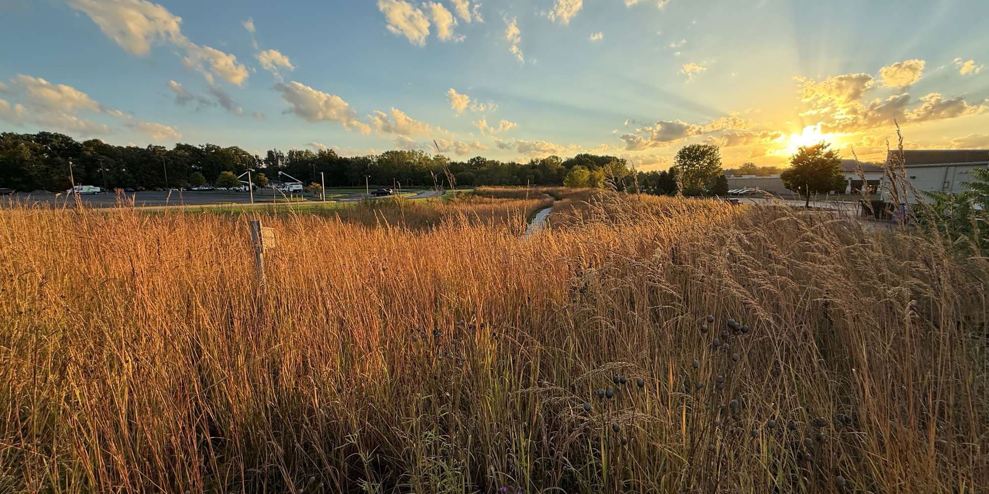 Second image to compare