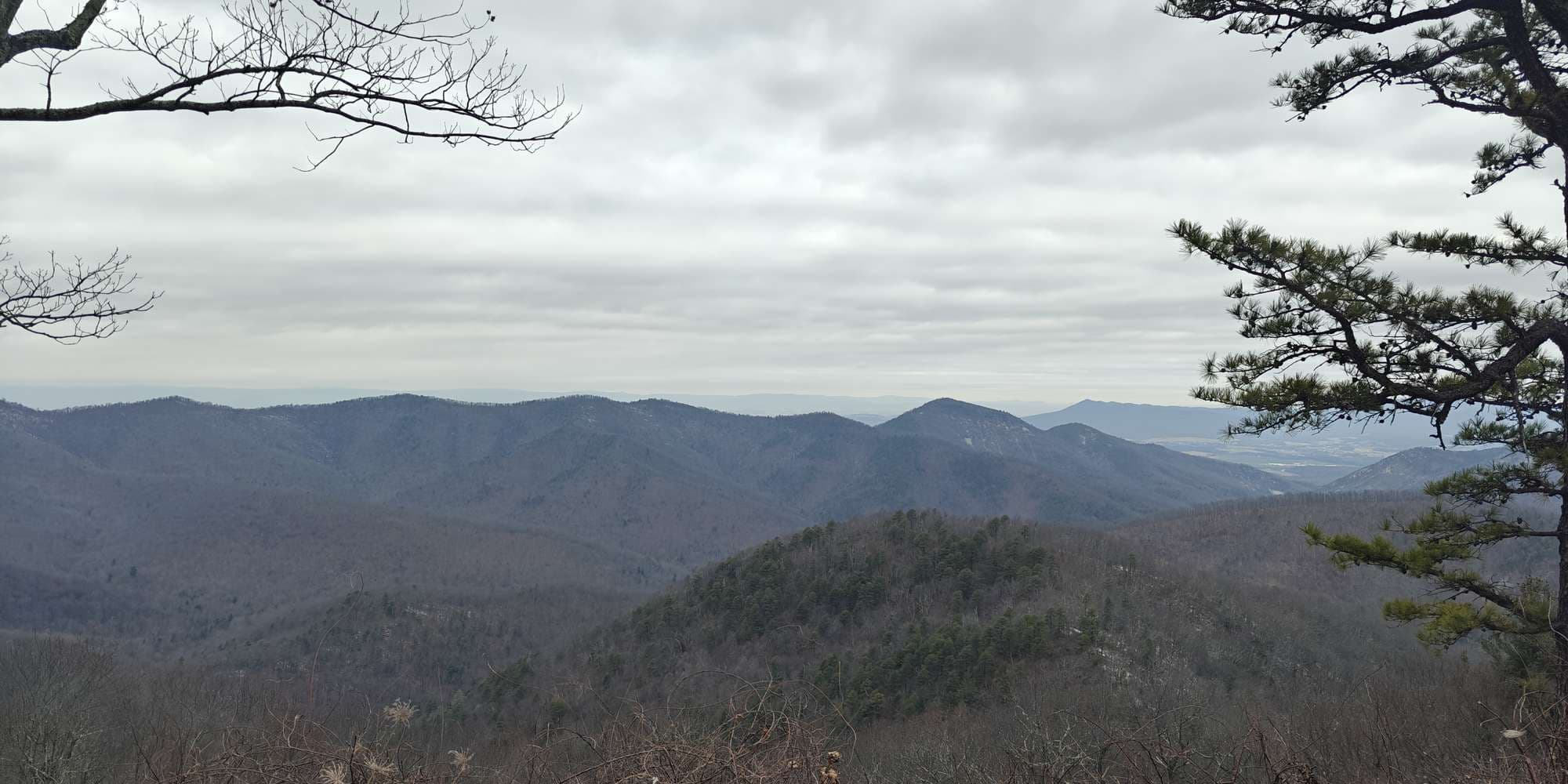 Second image to compare