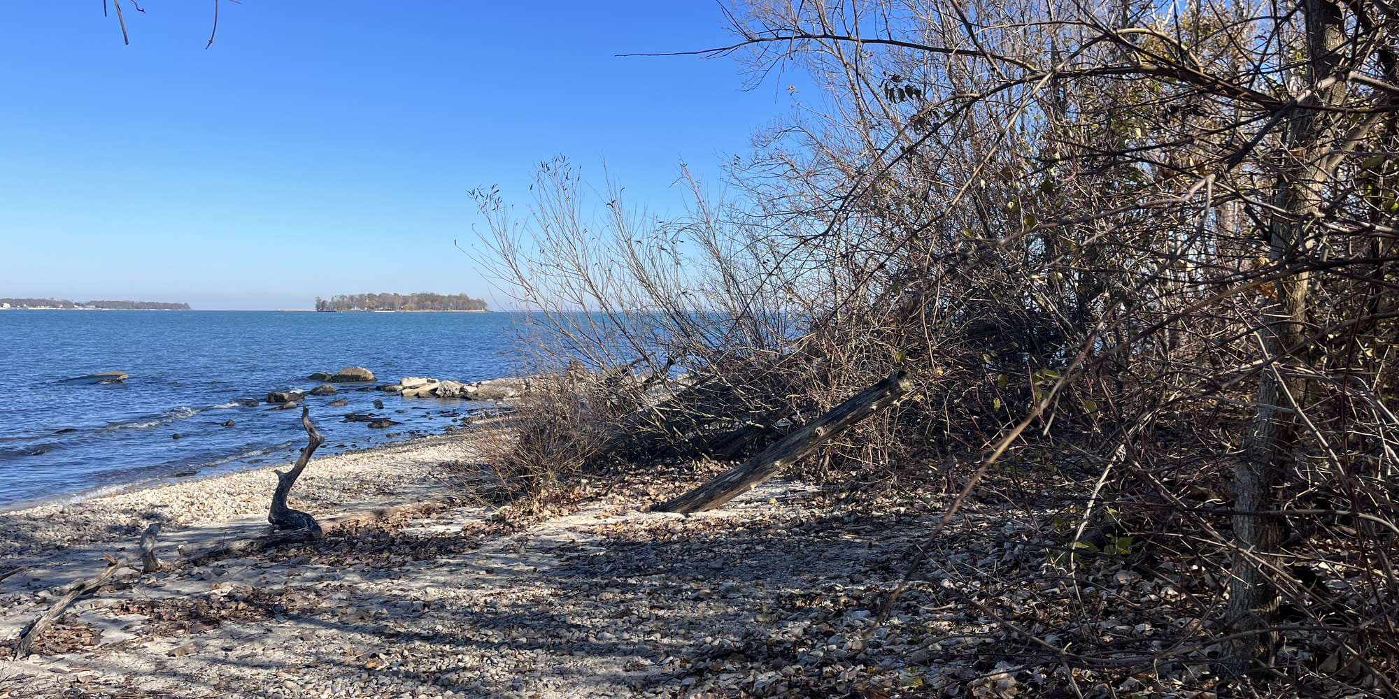 First image to compare