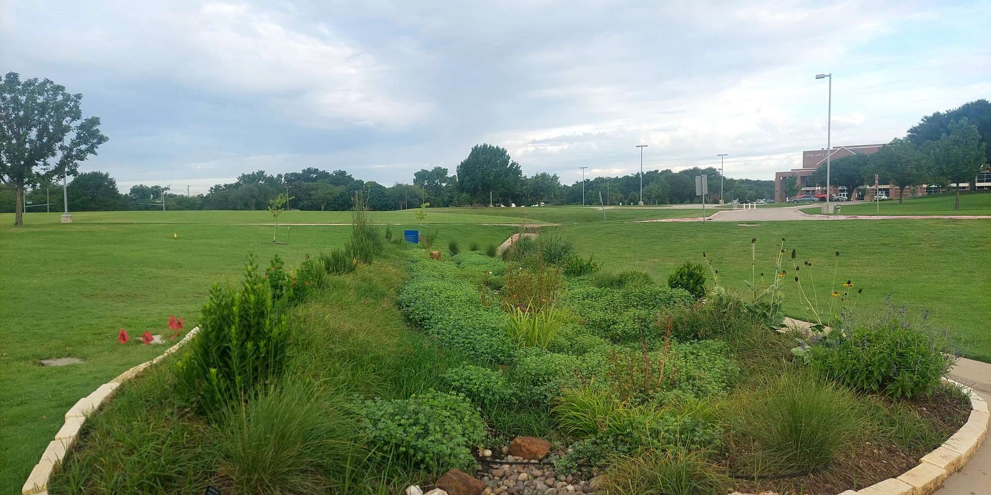 Second image to compare