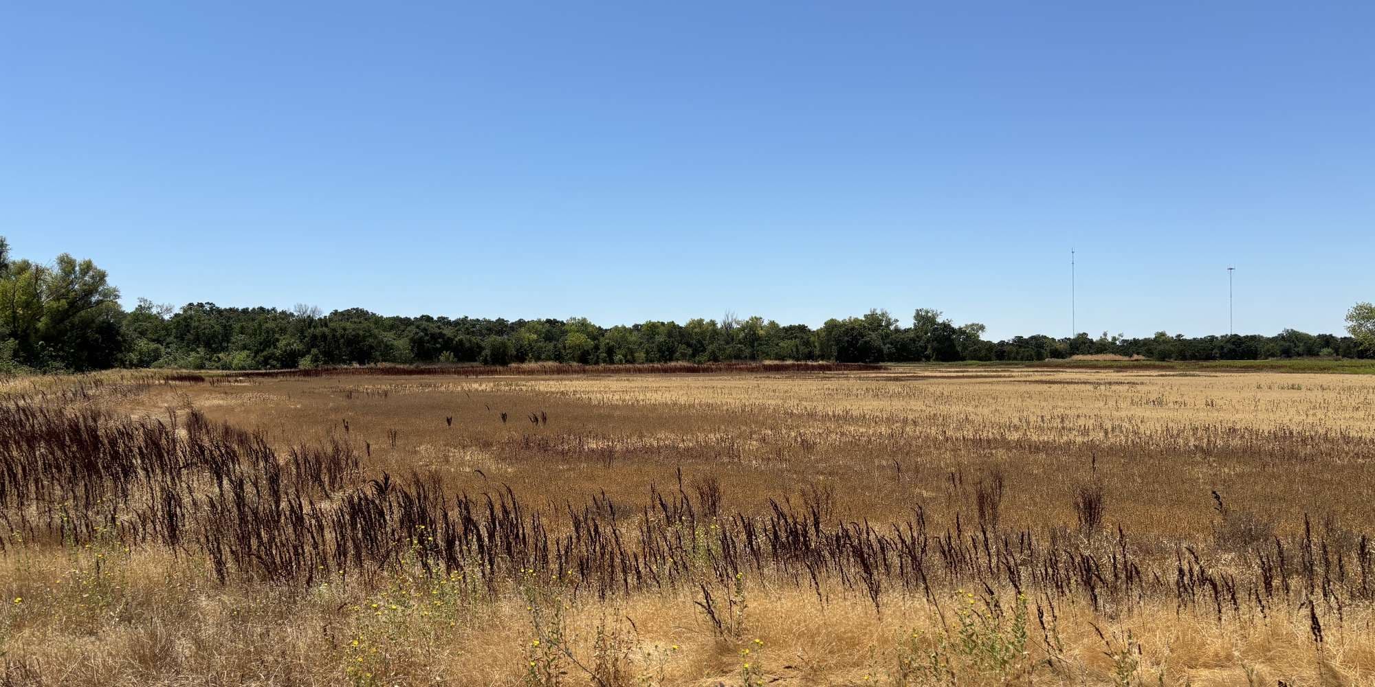 First image to compare