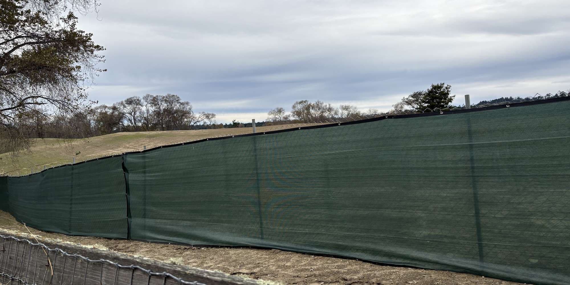 Second image to compare