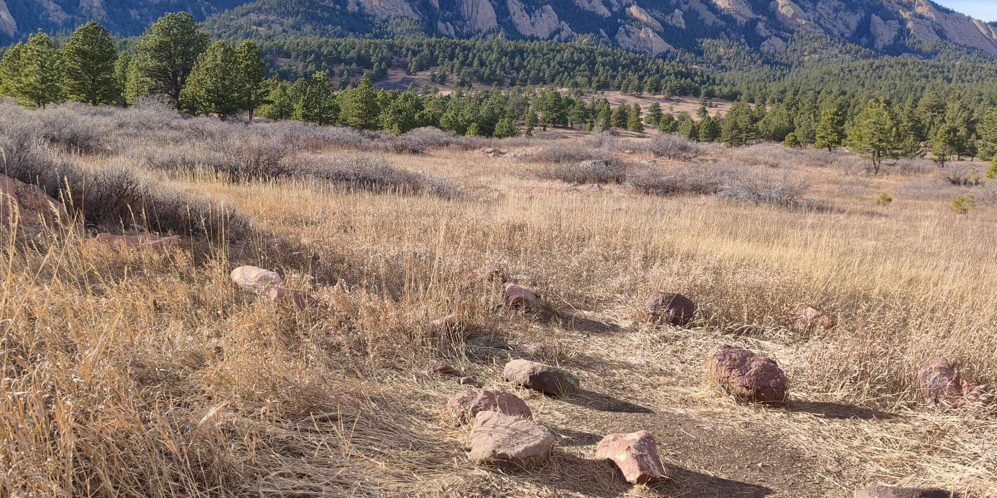 Second image to compare