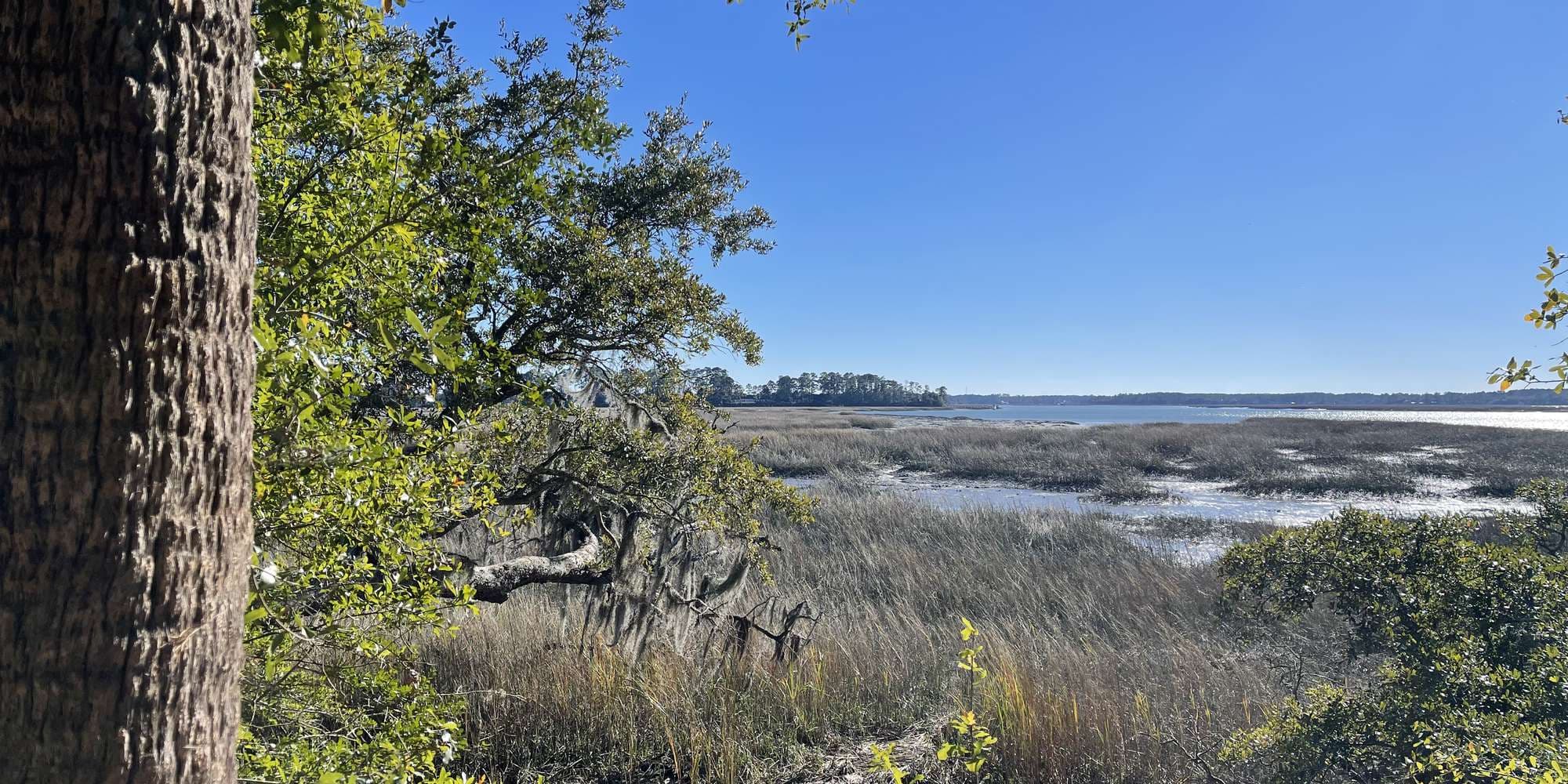 Second image to compare