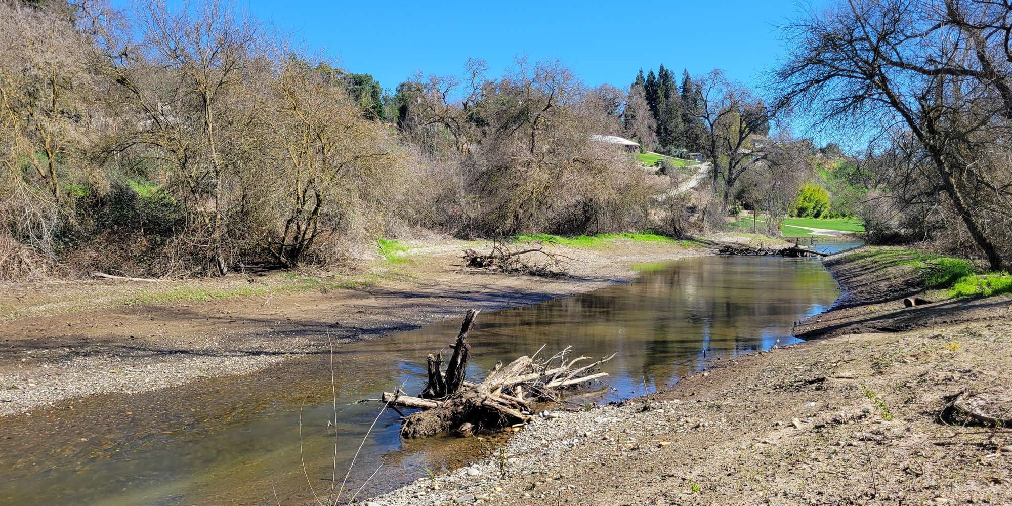 First image to compare