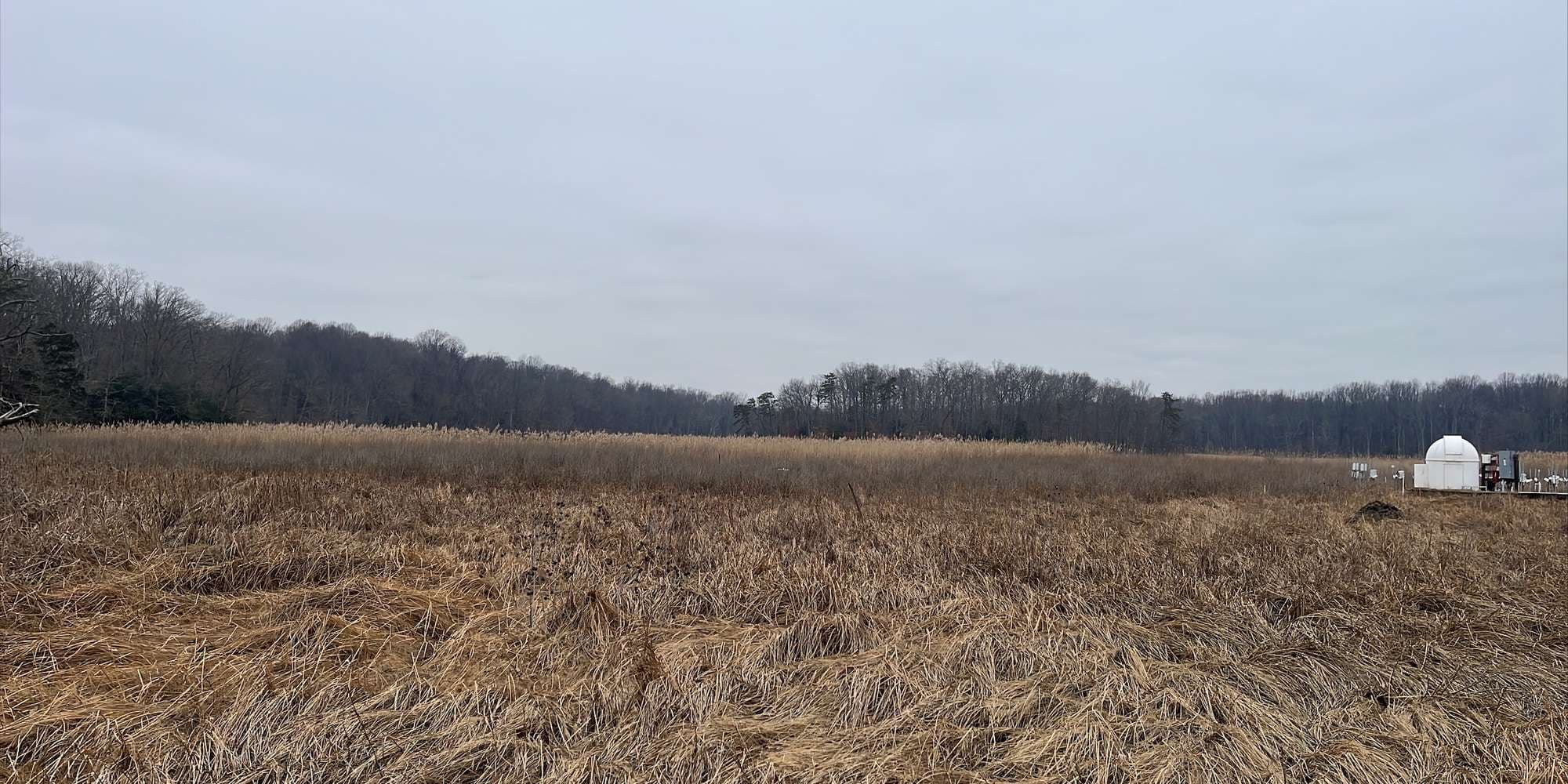 Second image to compare