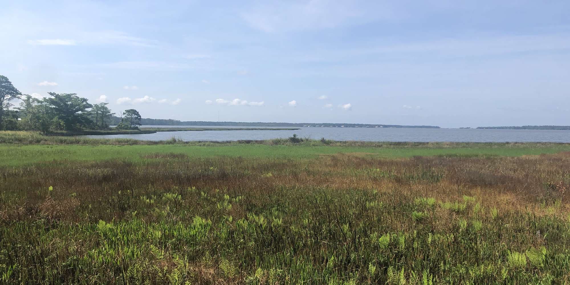 First image to compare