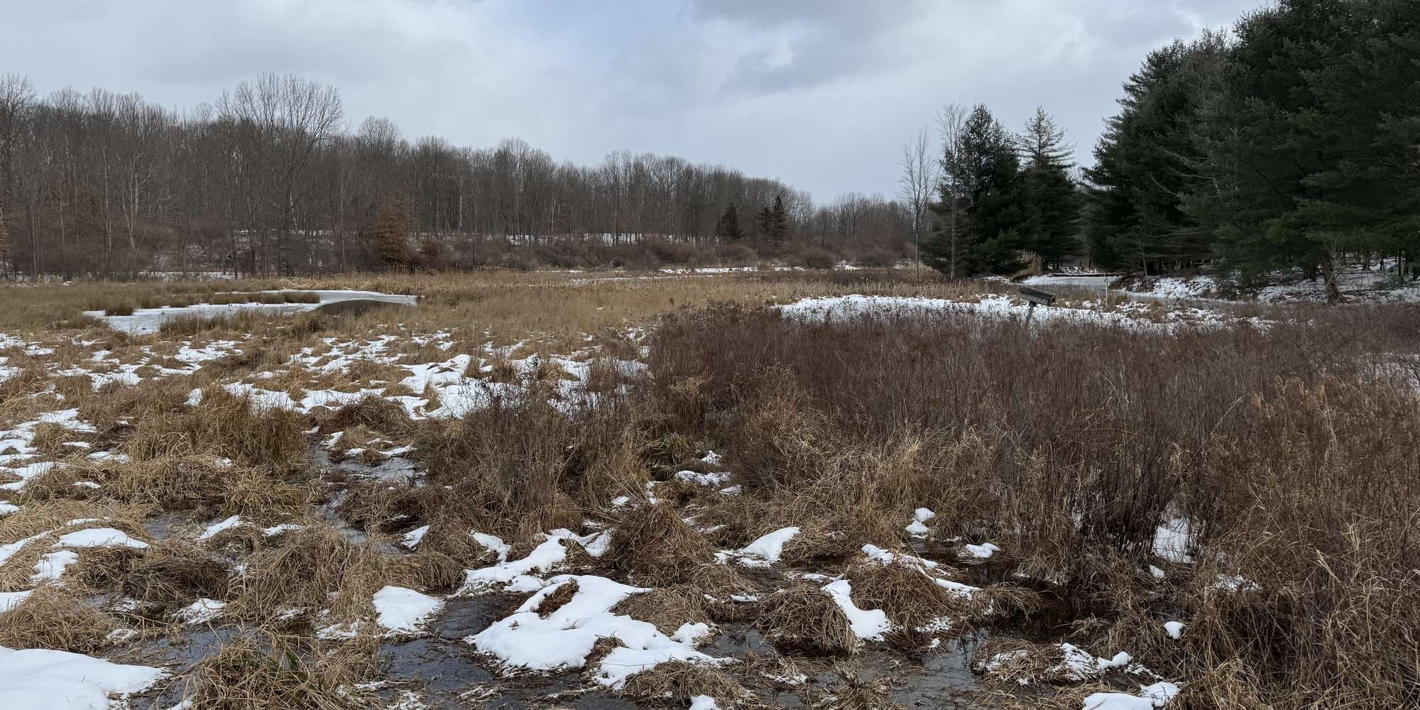 Second image to compare