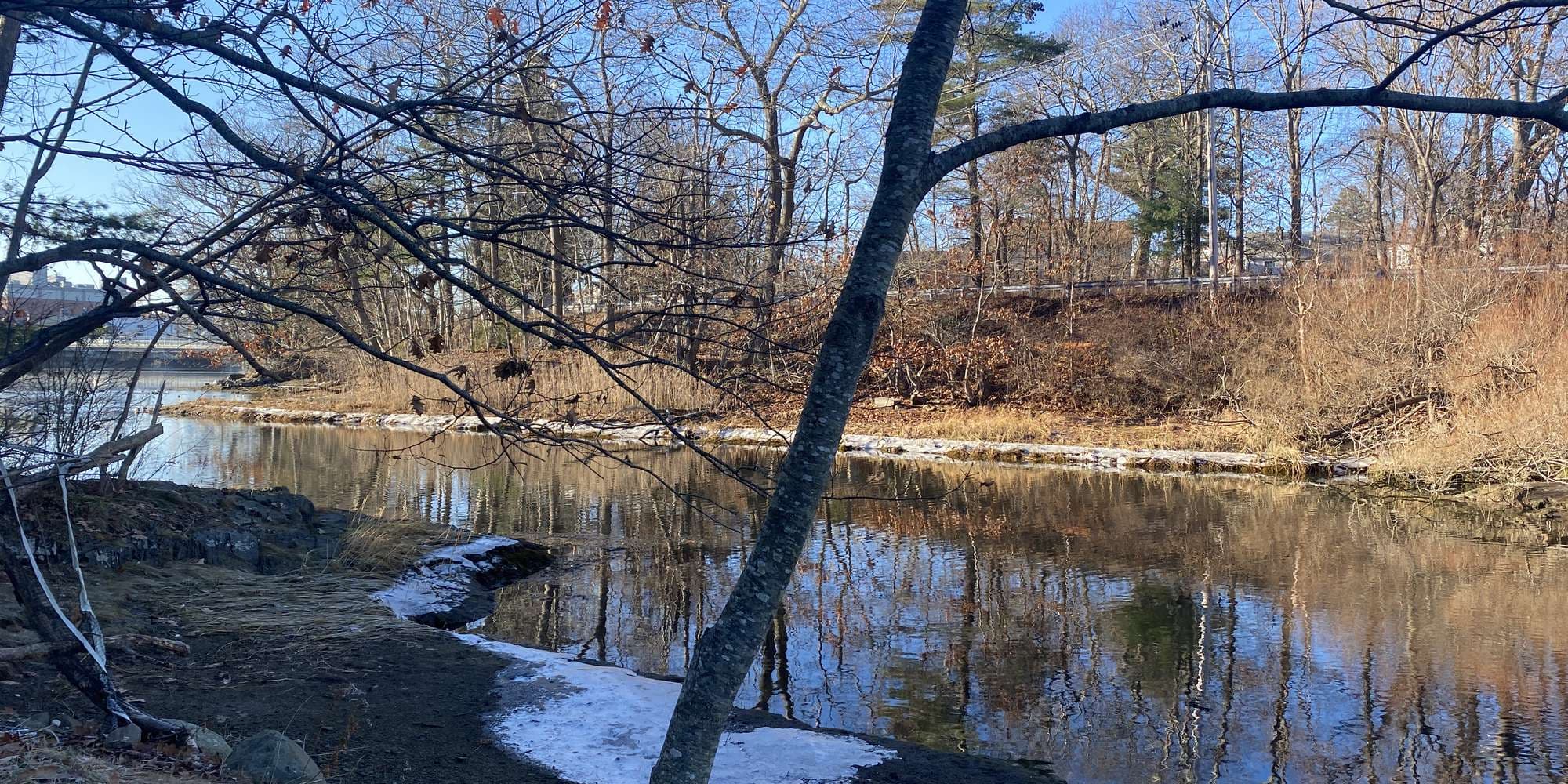 First image to compare