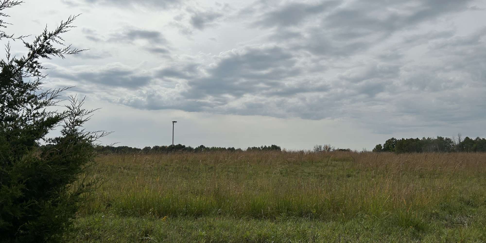 Second image to compare