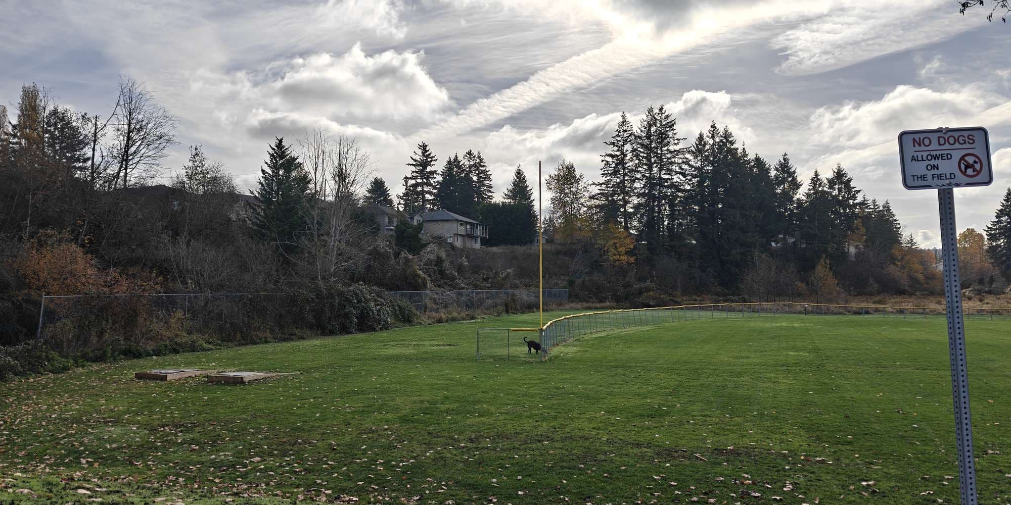 Second image to compare