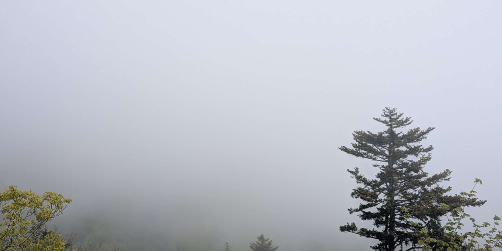 First image to compare