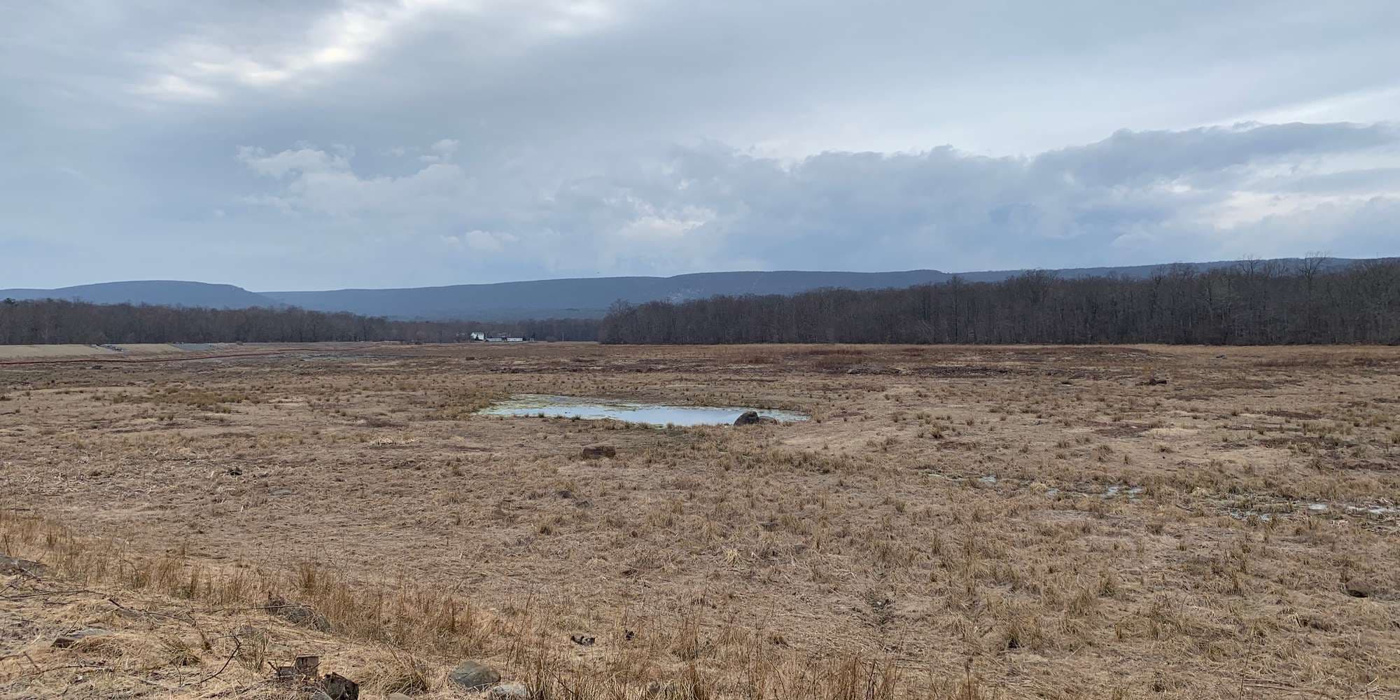 First image to compare