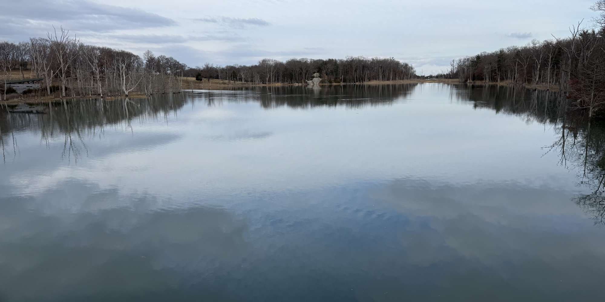 Second image to compare