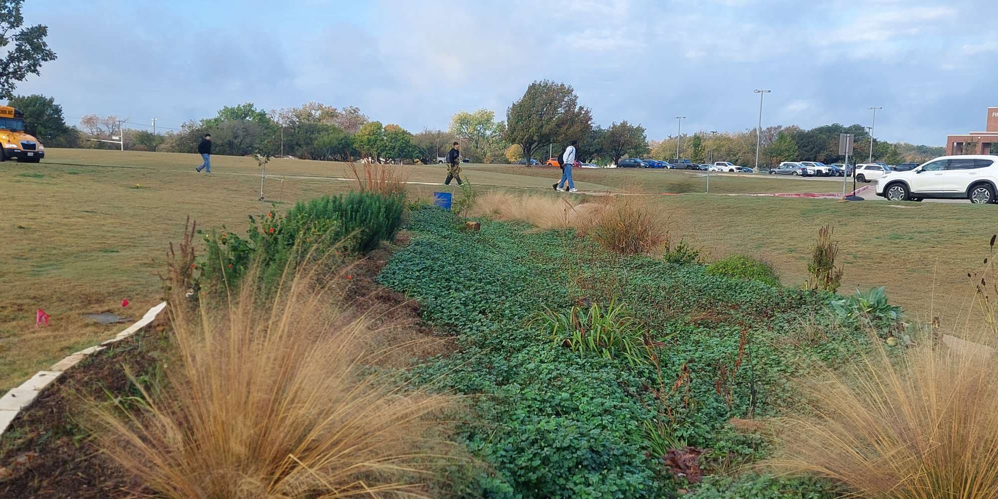 Second image to compare