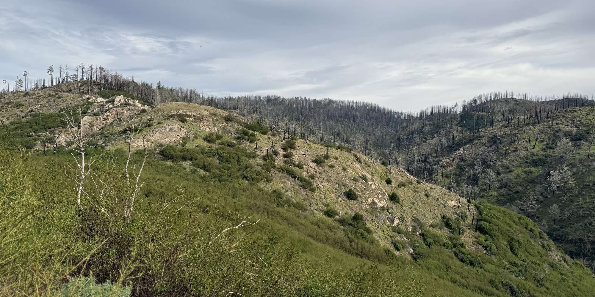 Second image to compare