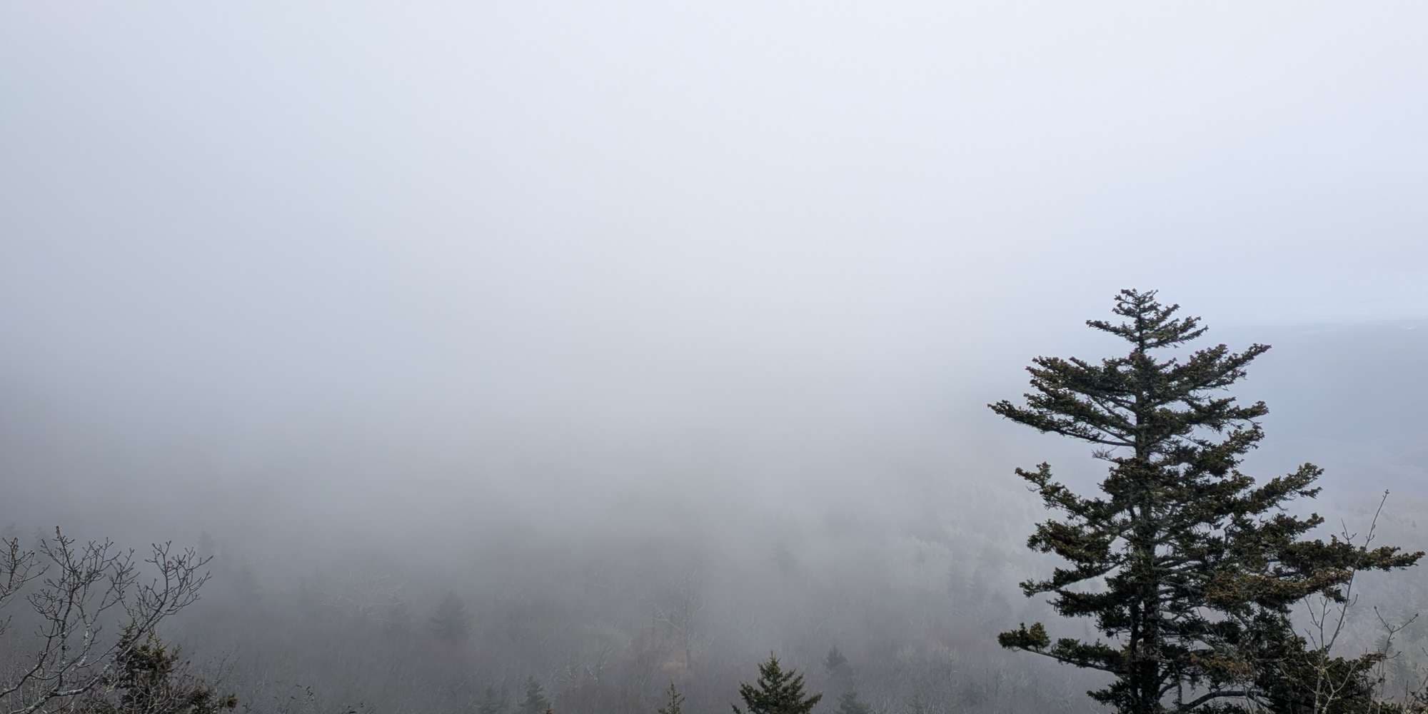 Second image to compare