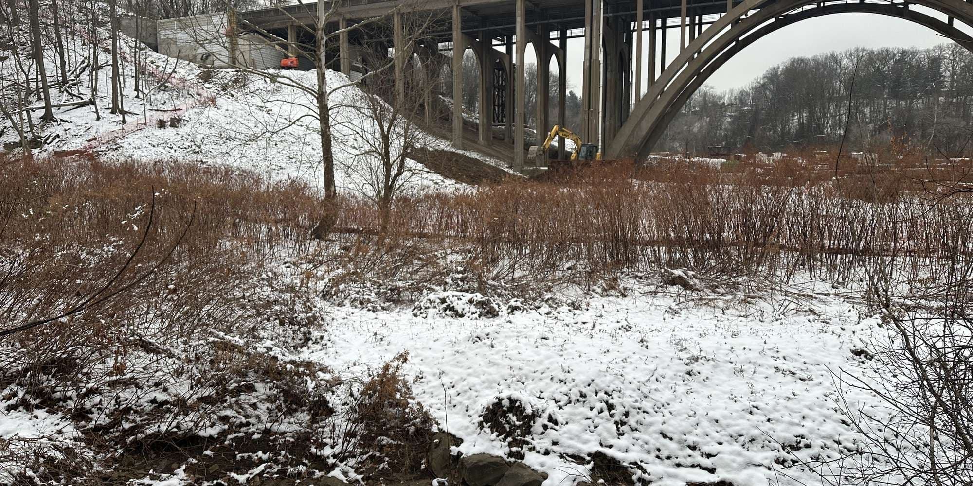 Second image to compare