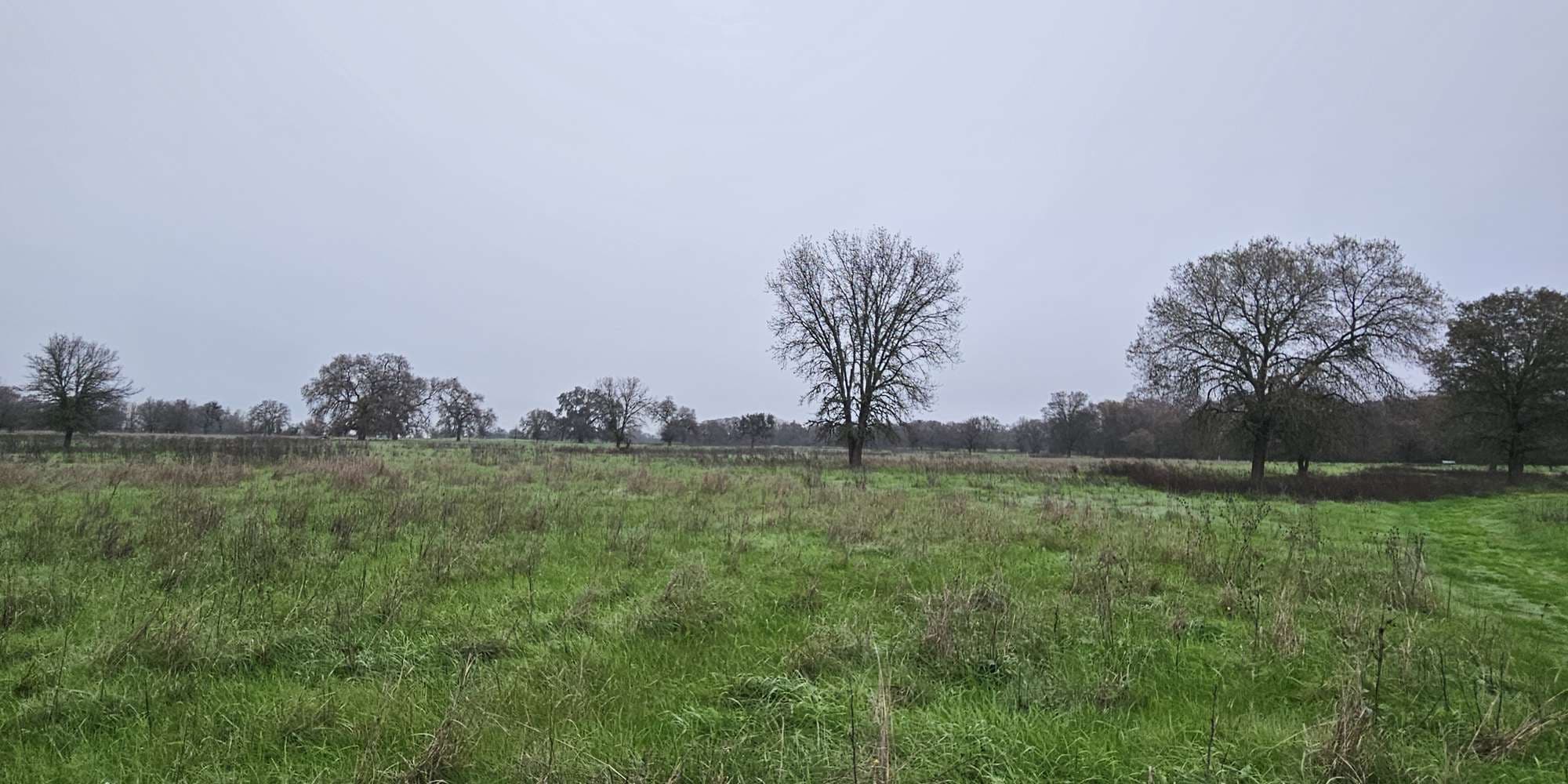 Second image to compare