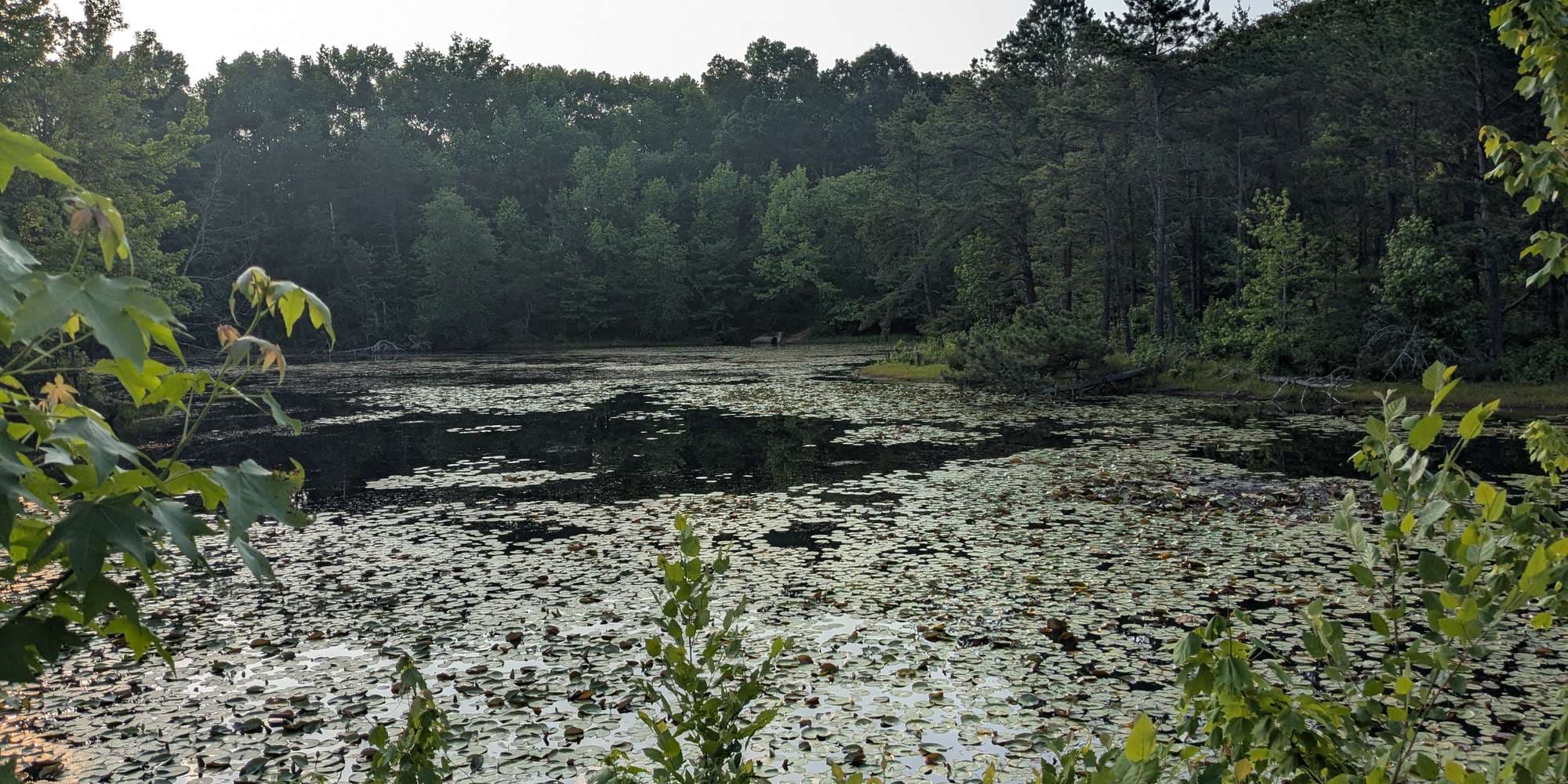 First image to compare