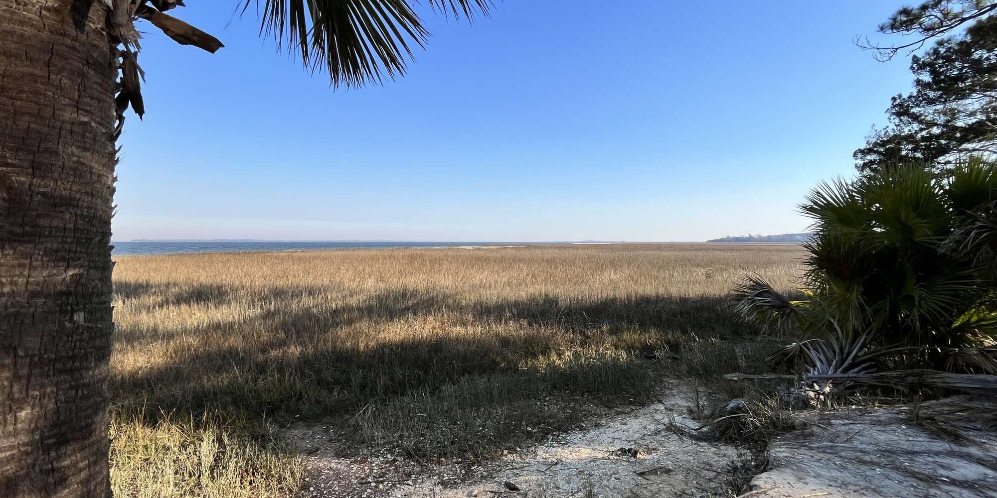 First image to compare