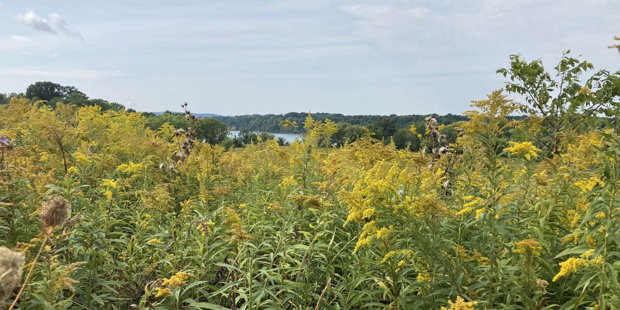 First image to compare