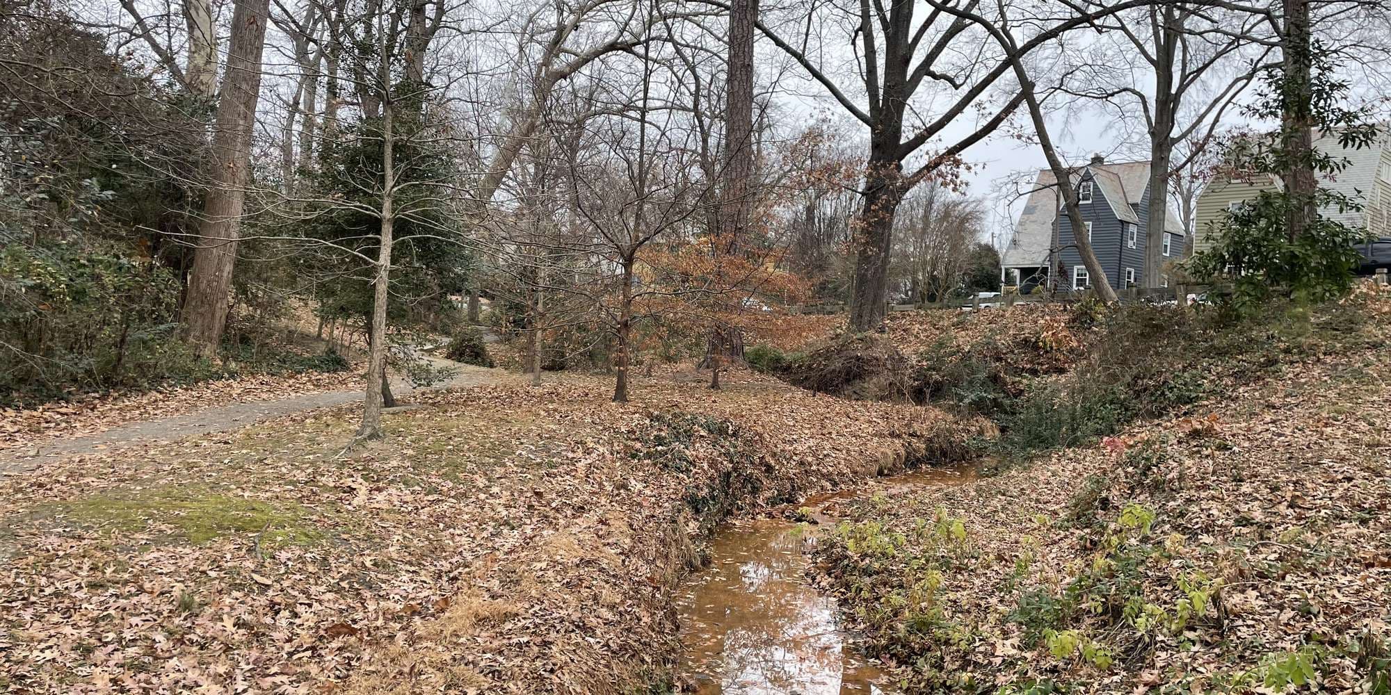 Second image to compare