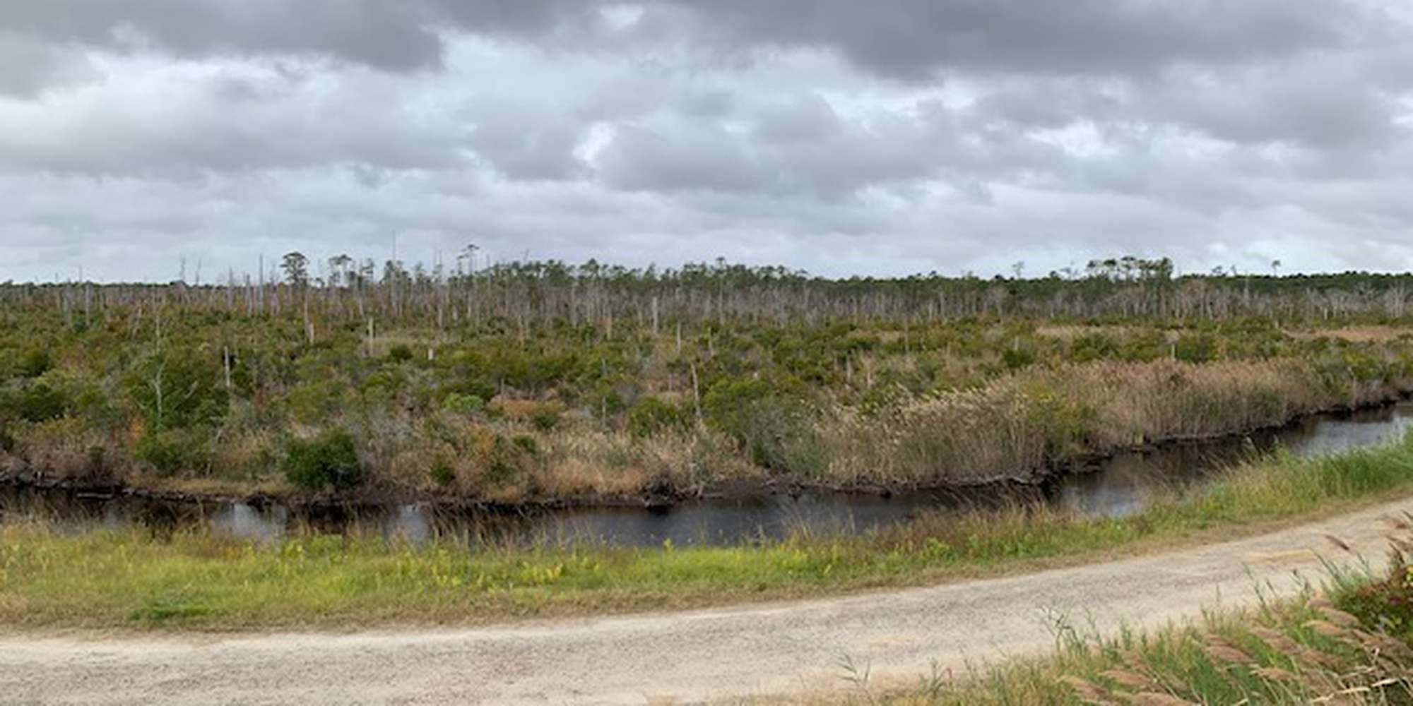 First image to compare