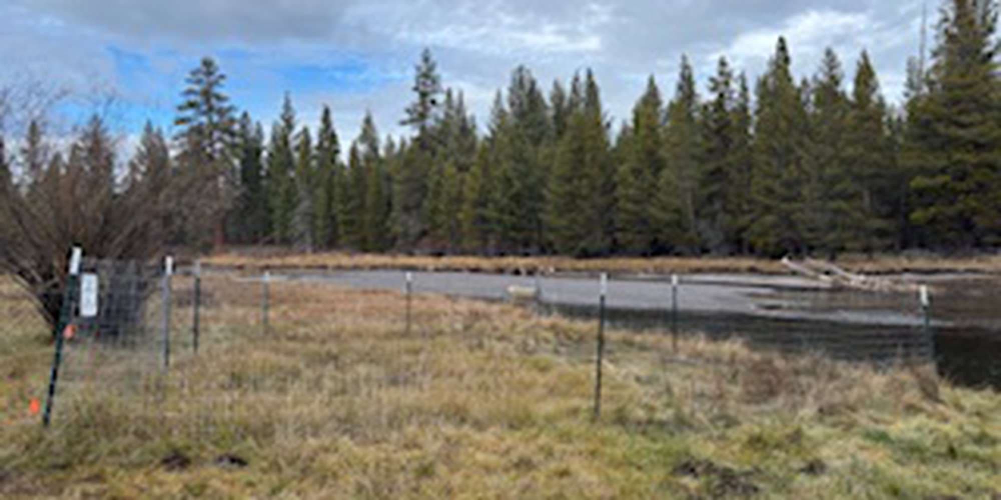 Second image to compare