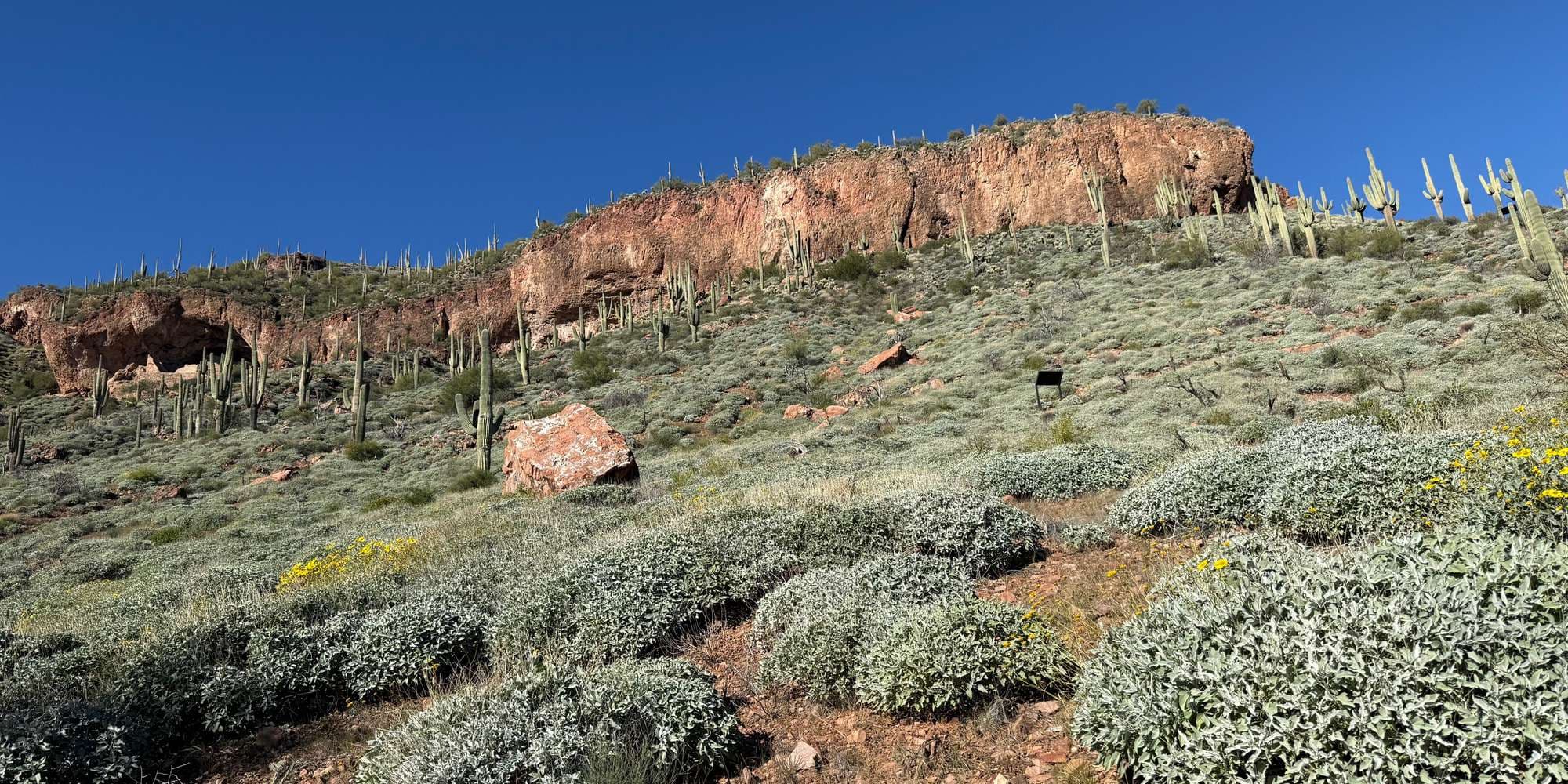 Second image to compare