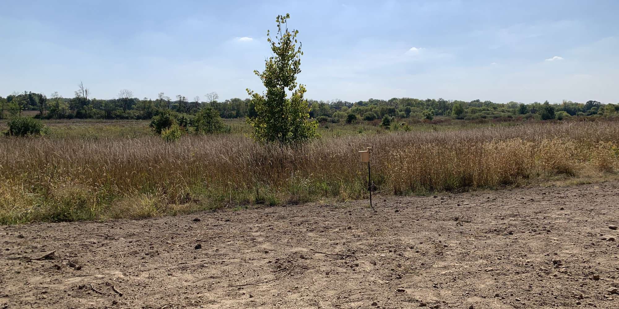 First image to compare