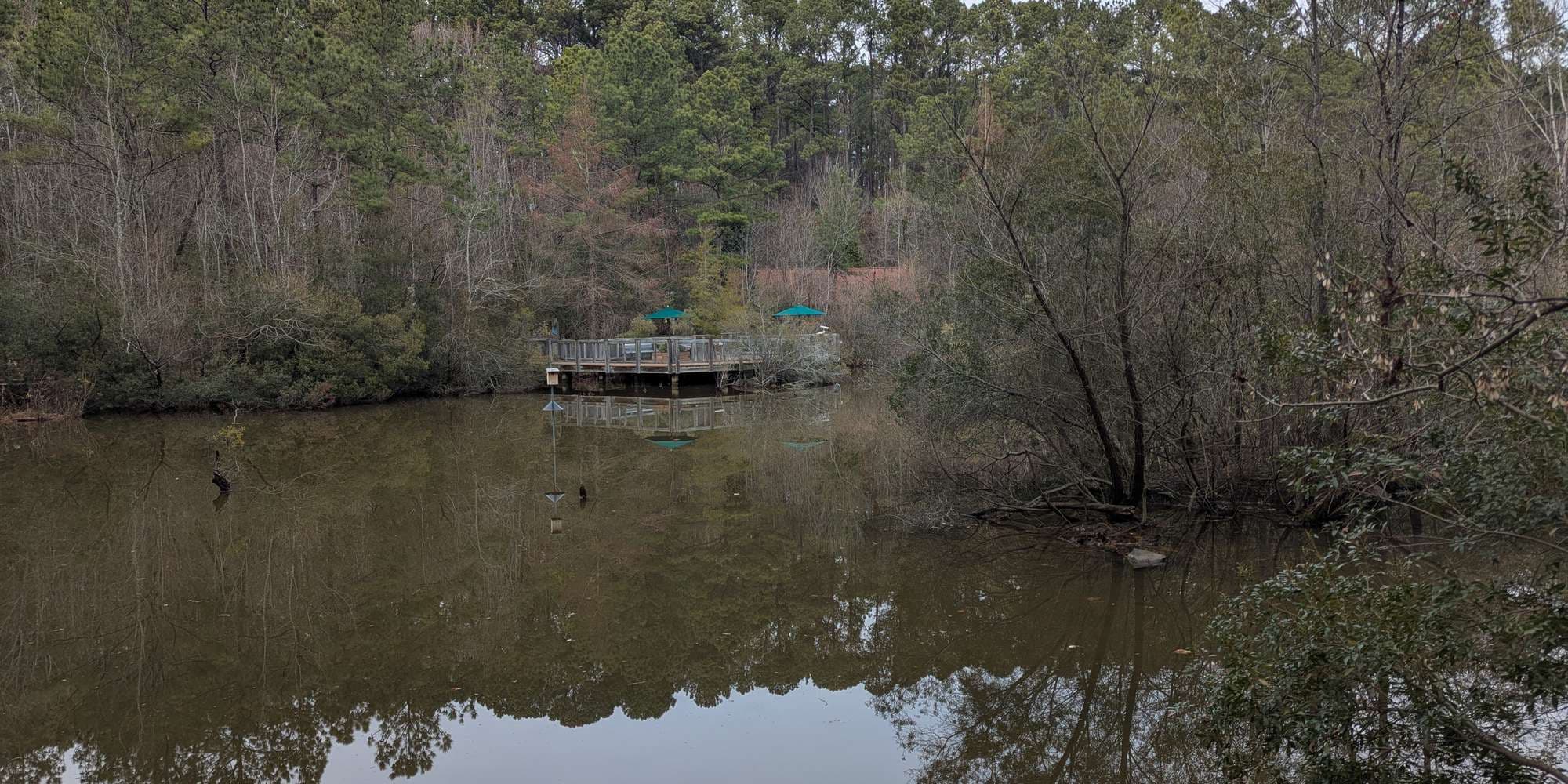 Second image to compare