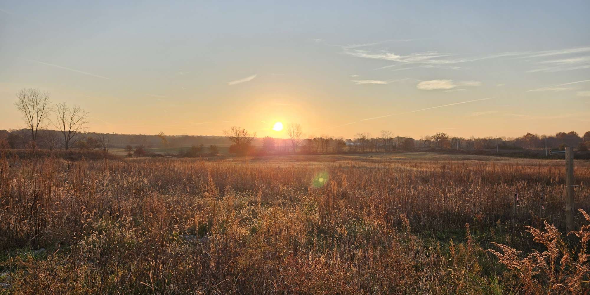 Second image to compare