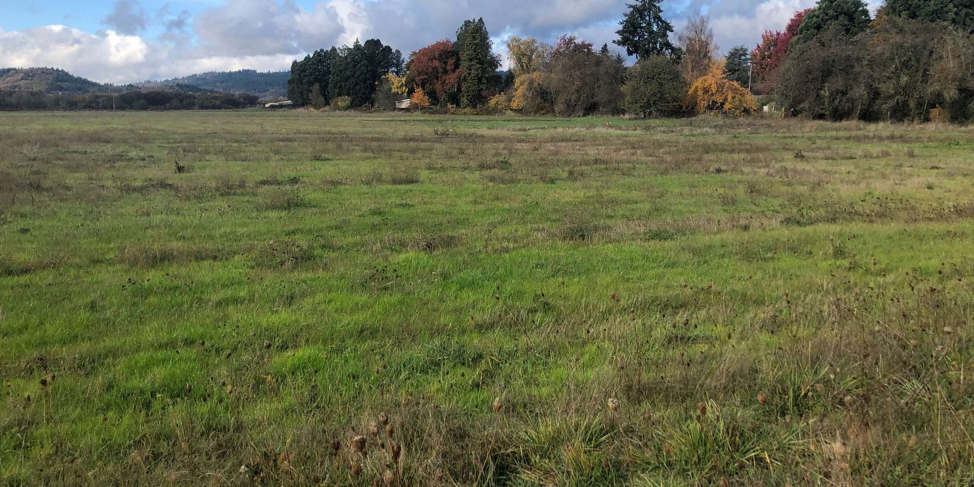 First image to compare