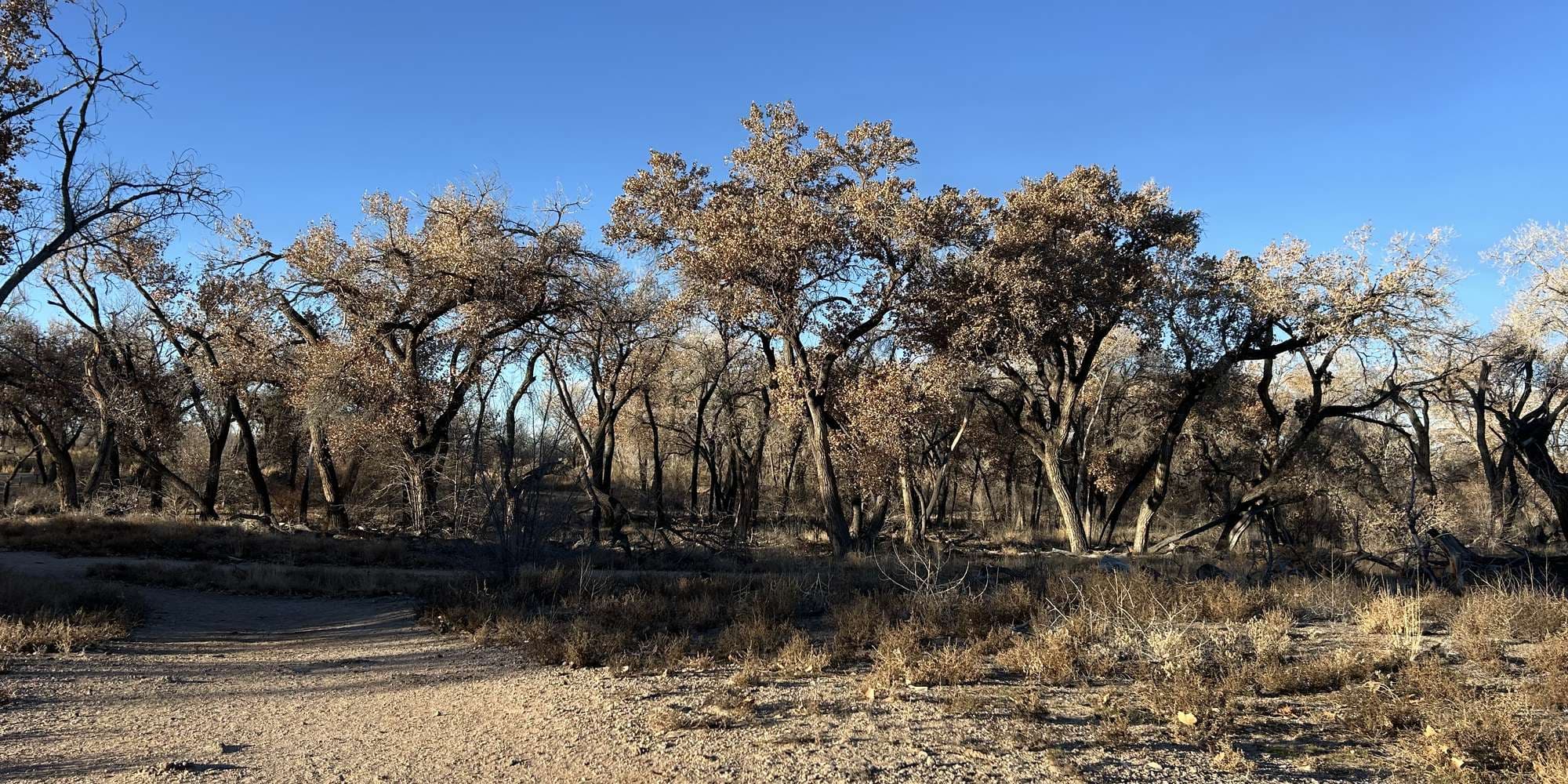 Second image to compare