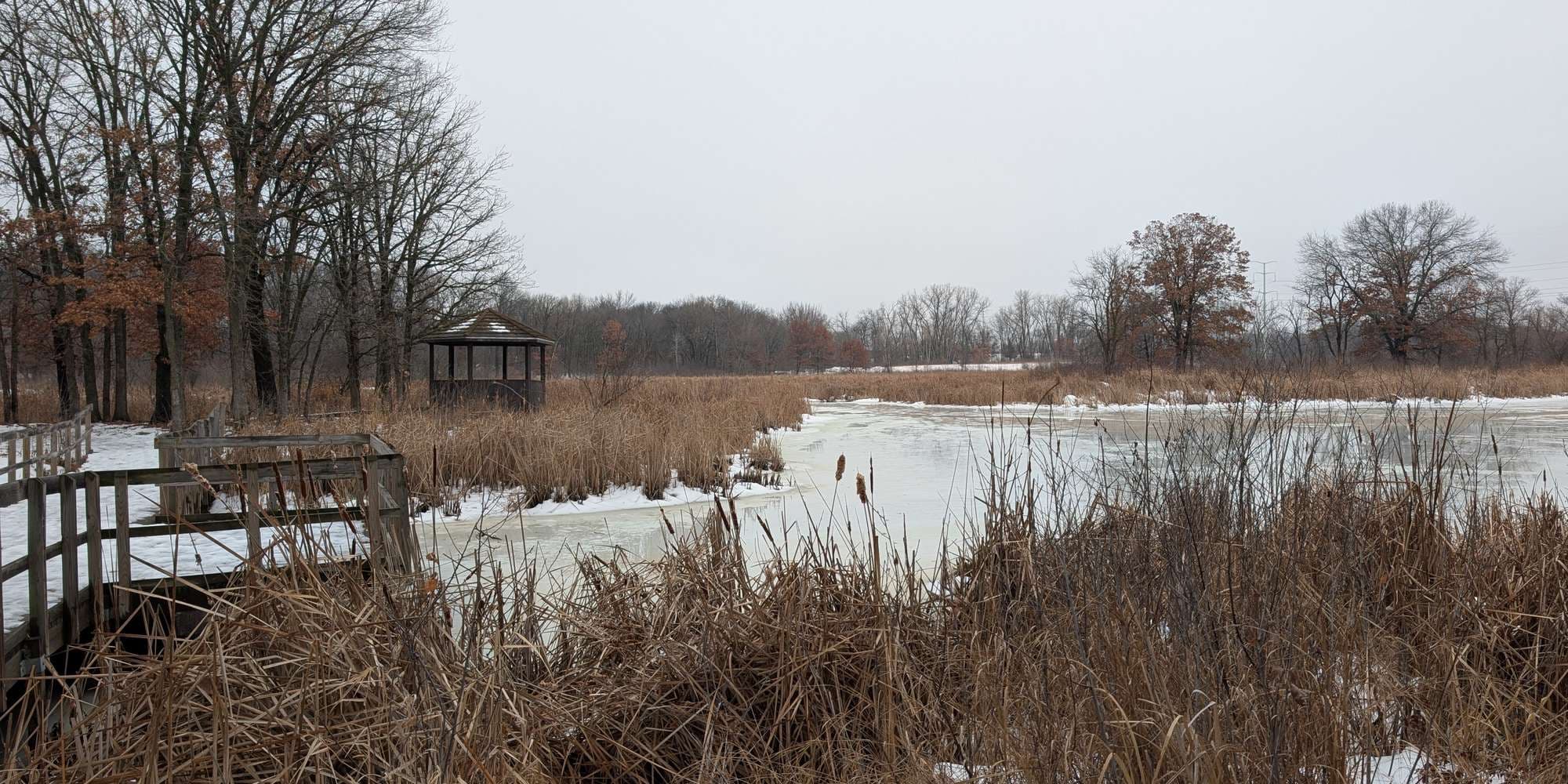 Second image to compare