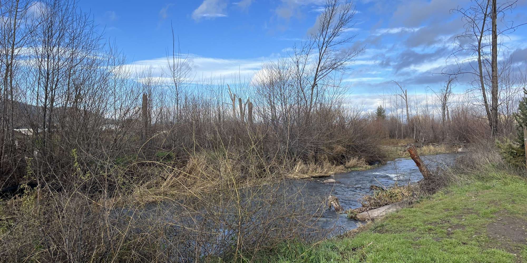 Second image to compare