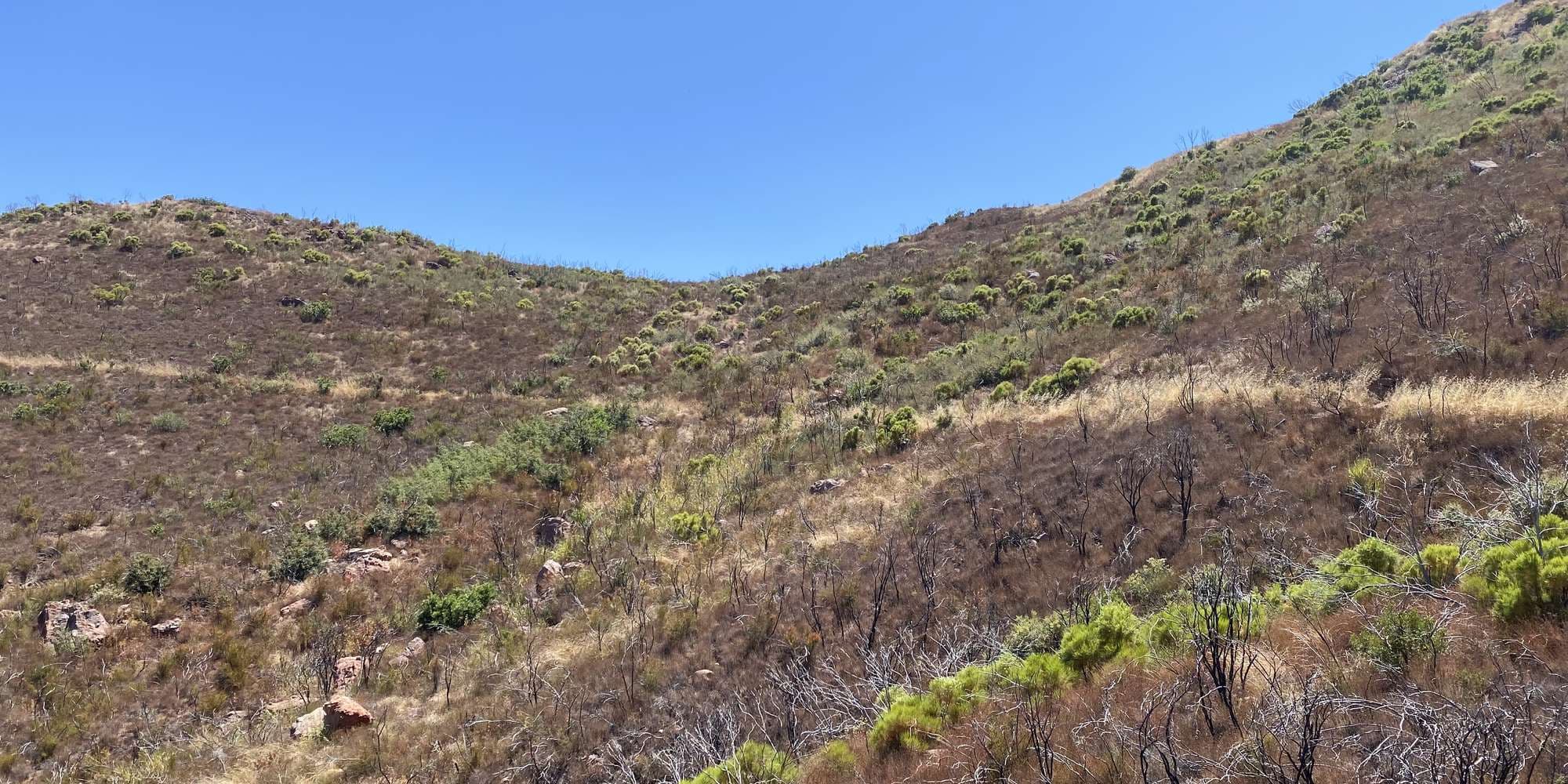 First image to compare