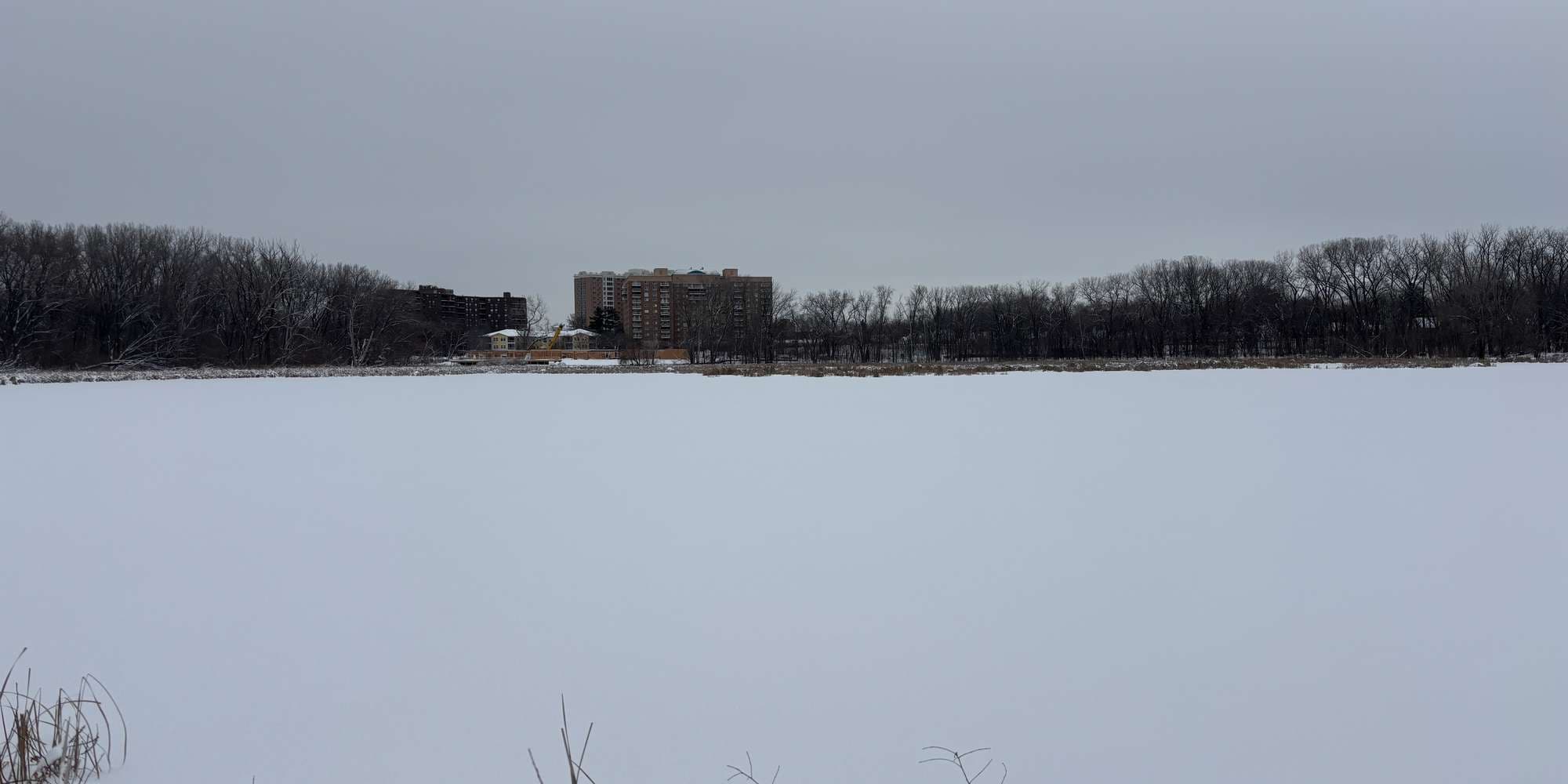 Second image to compare