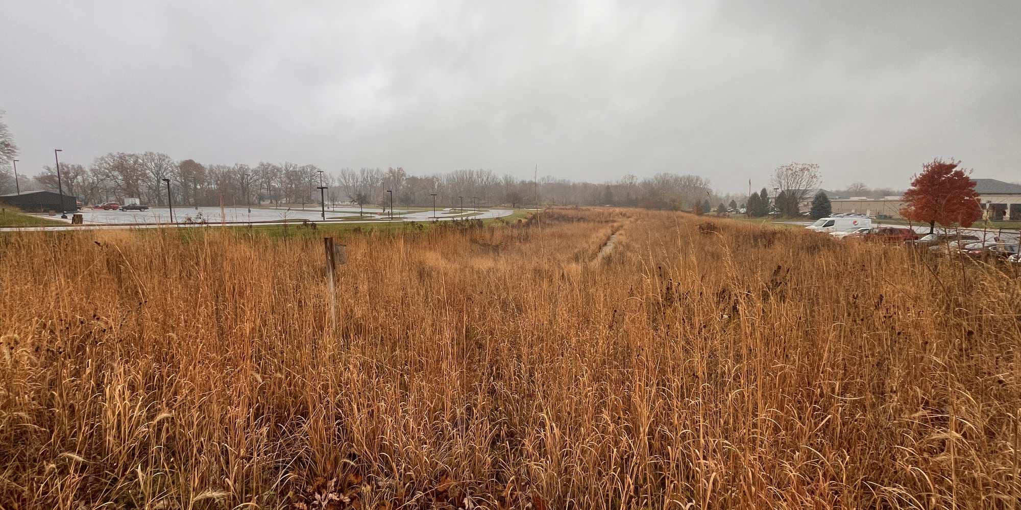 First image to compare