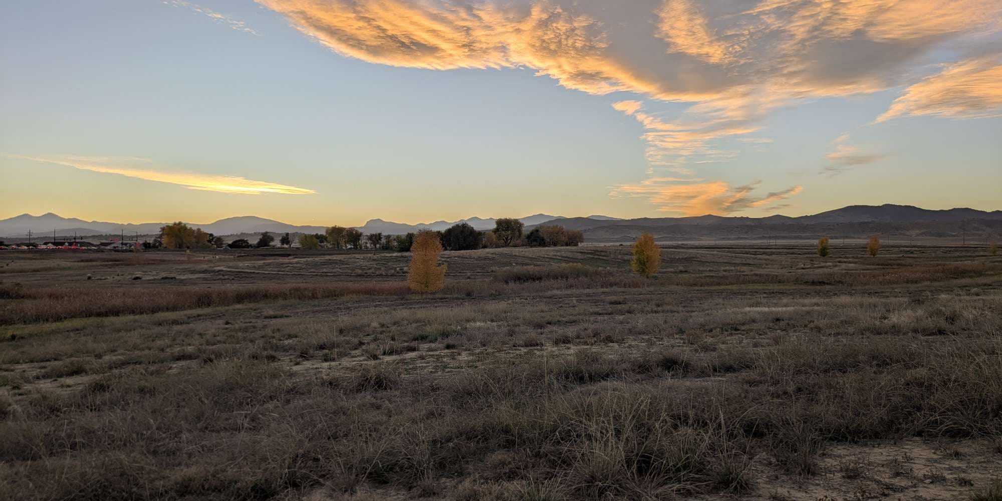 Second image to compare